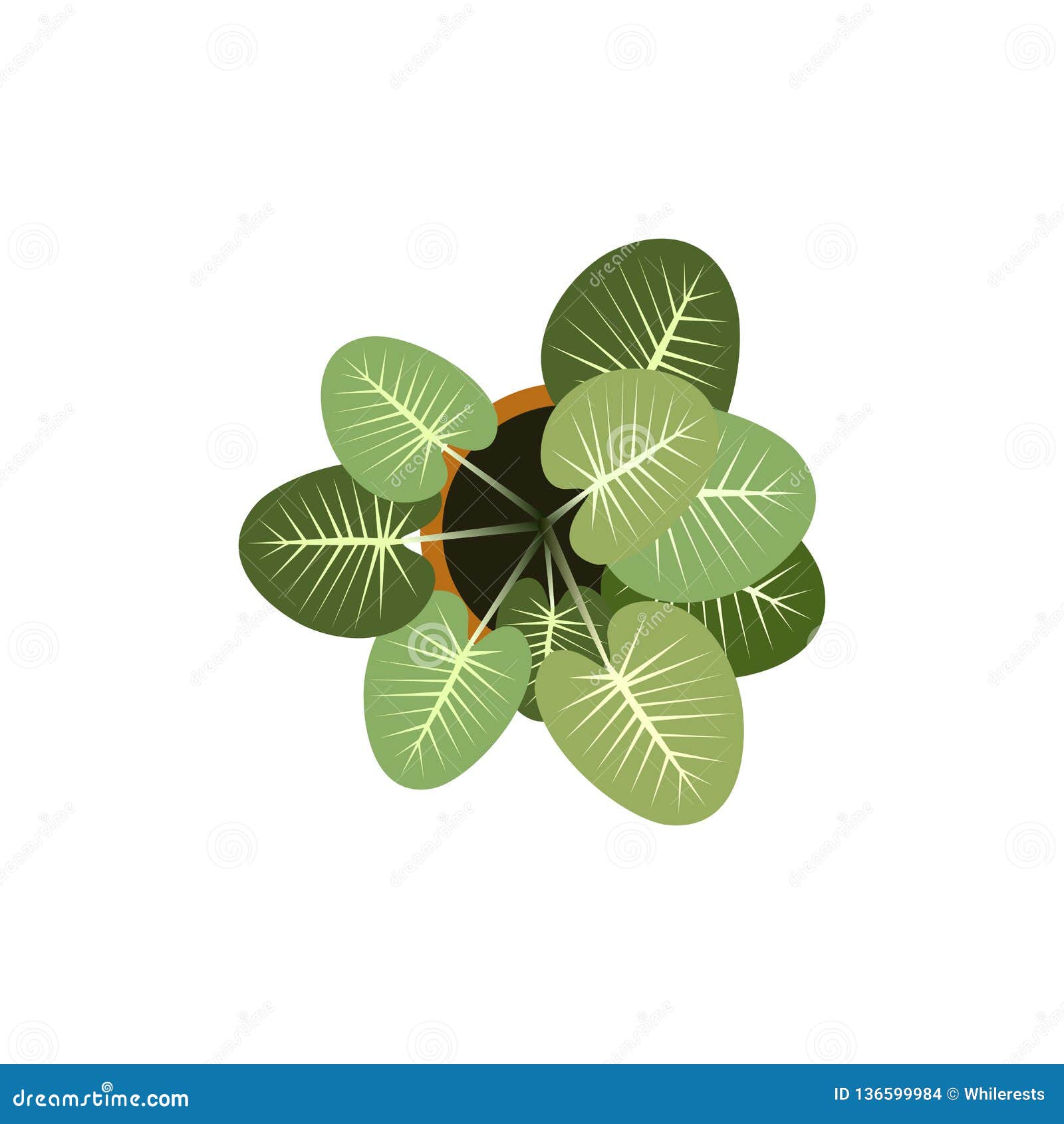 Top View. Plants Easy Copy Paste In Your Landscape Design Projects Or