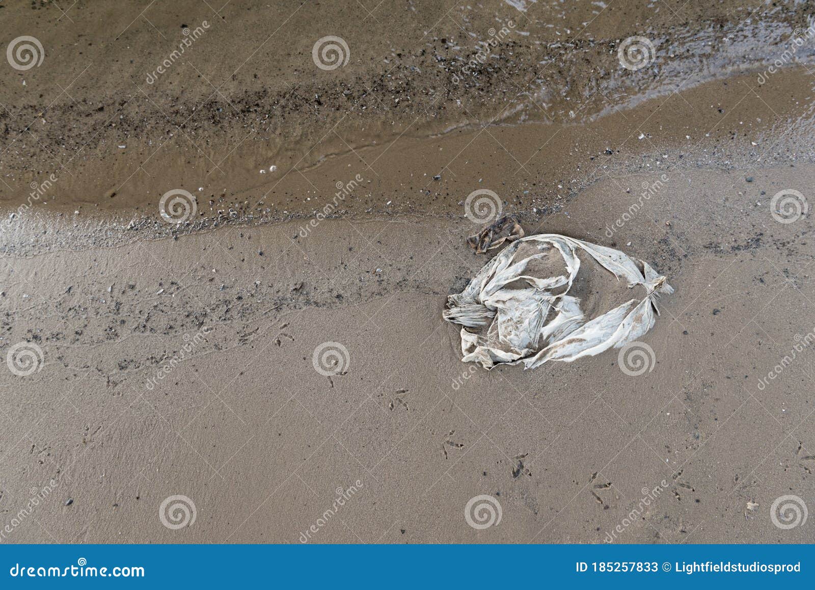 View of Plastic Bag in Wet Sand Stock Image Image of garbage, outside 185257833