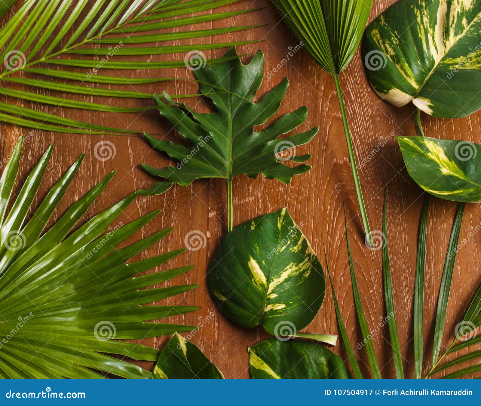 Exotic Mix Tropical Leaves On Wooden Background Stock Image - Image of