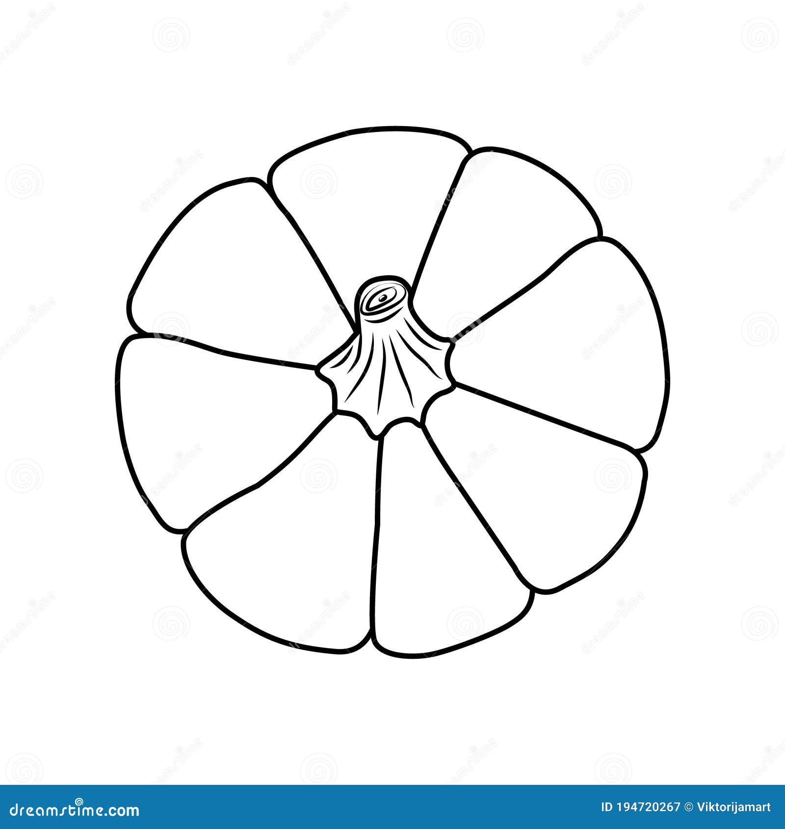top view pumpkin.  outline on white background. simple style.  . great for use as an