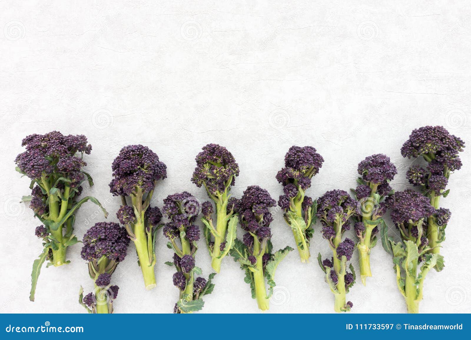 Top View of Purple Sprouting Broccoli Stock Image Image of head, color 111733597