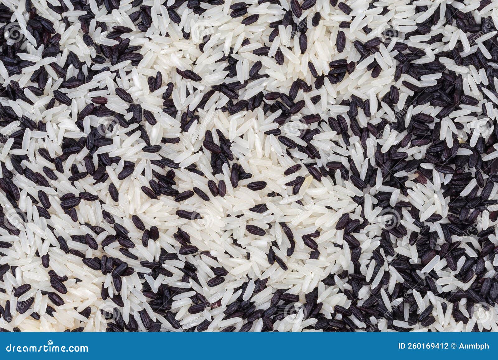 Top View of the Raw Black and White Rice Mixture Stock Photo Image of