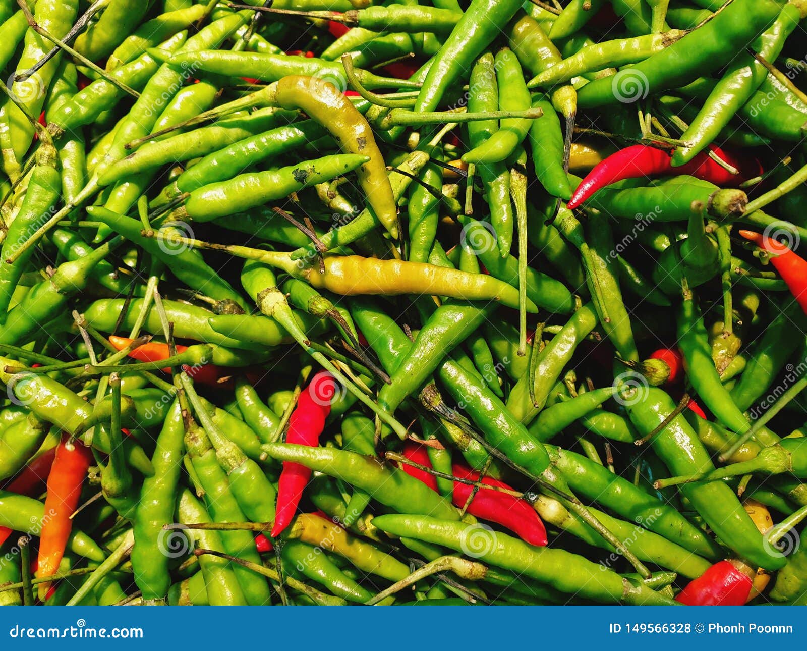 Top View Red and Green Chilli in the Mall or Supermarket Stock Photo