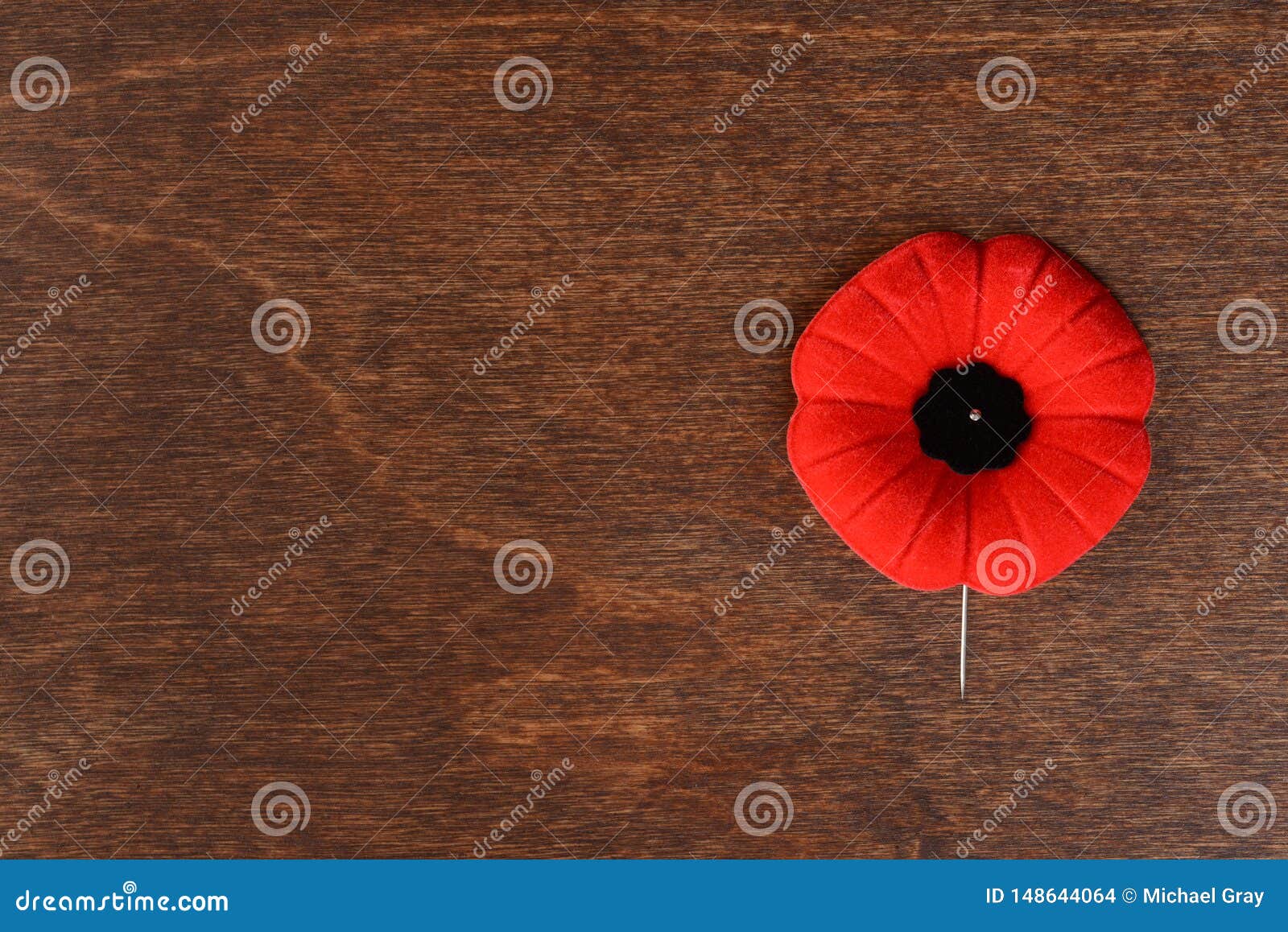 top view remembrance day poppy