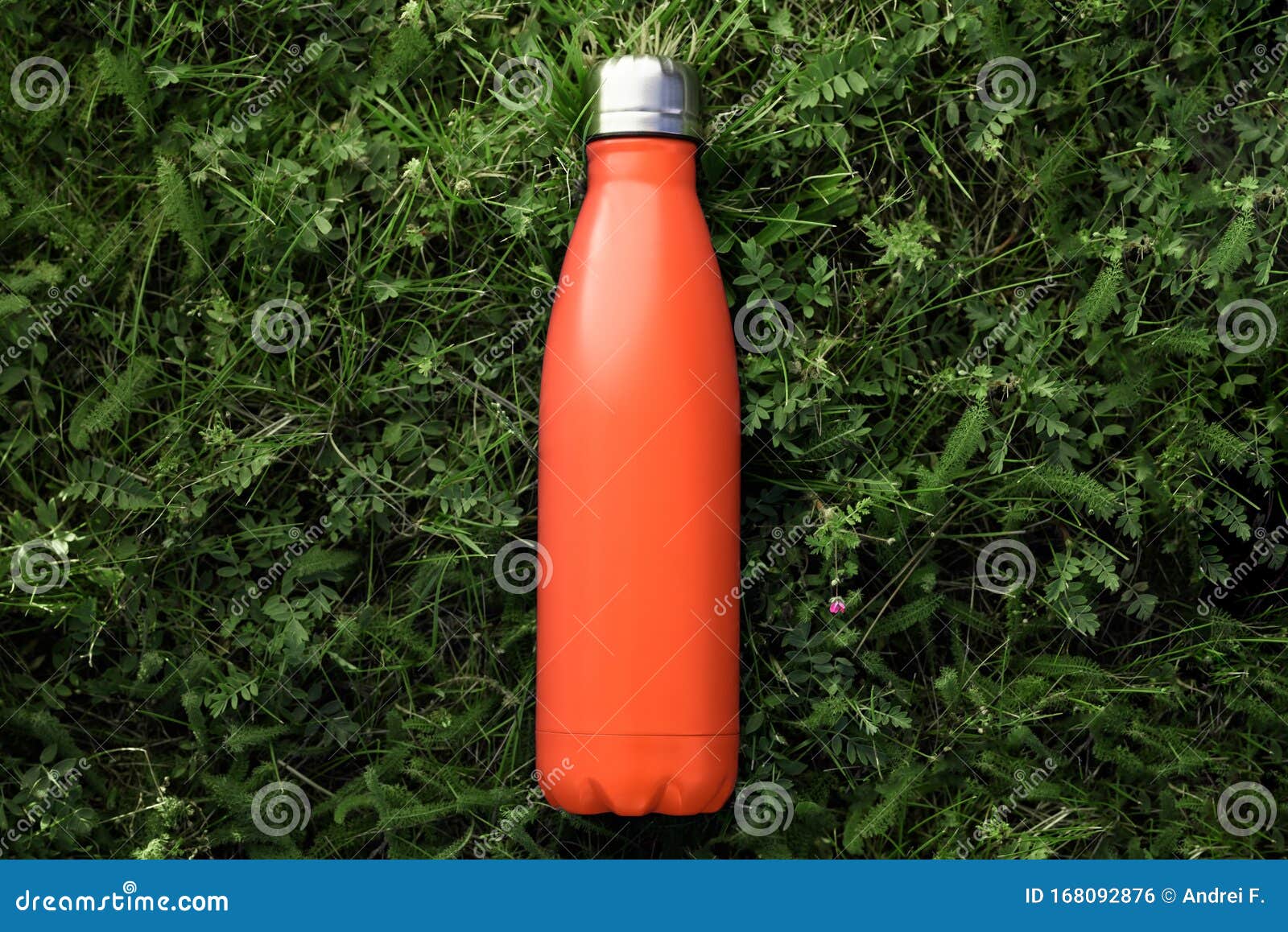 top view of reusable steel thermo water bottle with mockup on green grass, lush lava color.