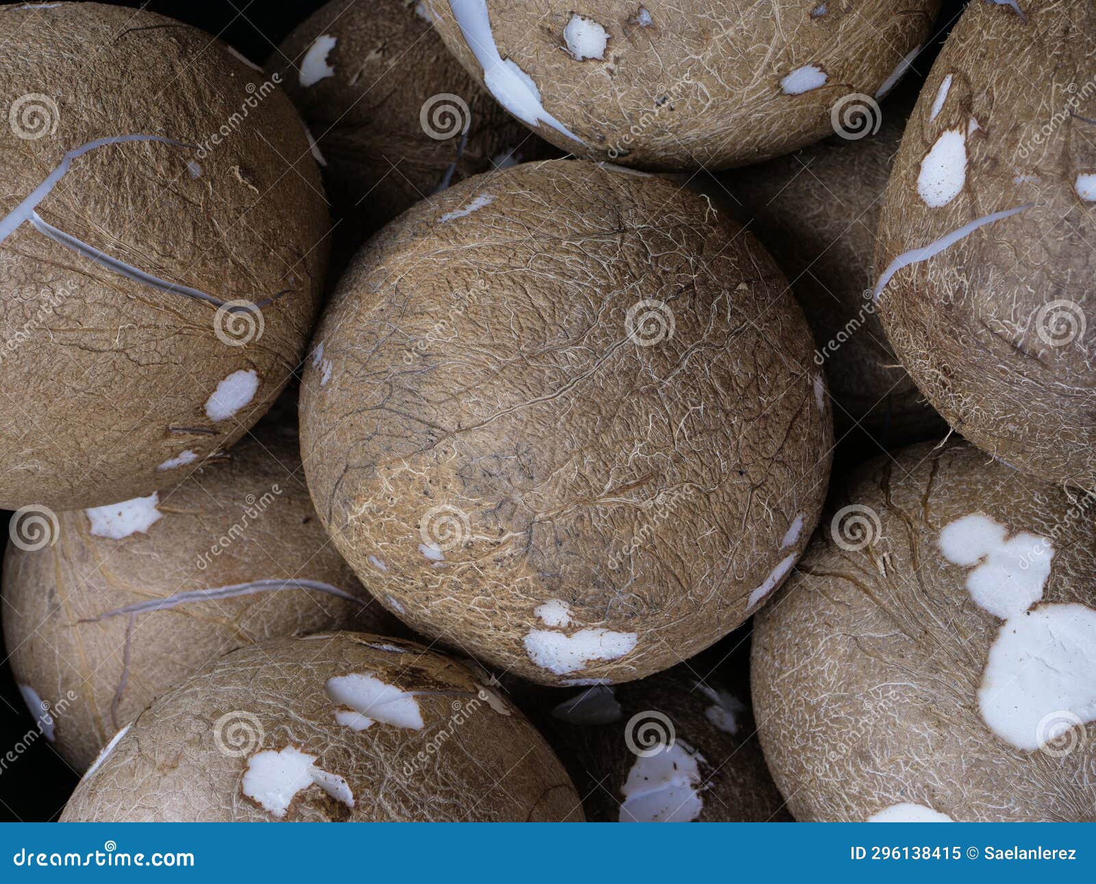 Top View of Several Coconuts Stock Image Image of food, coconut