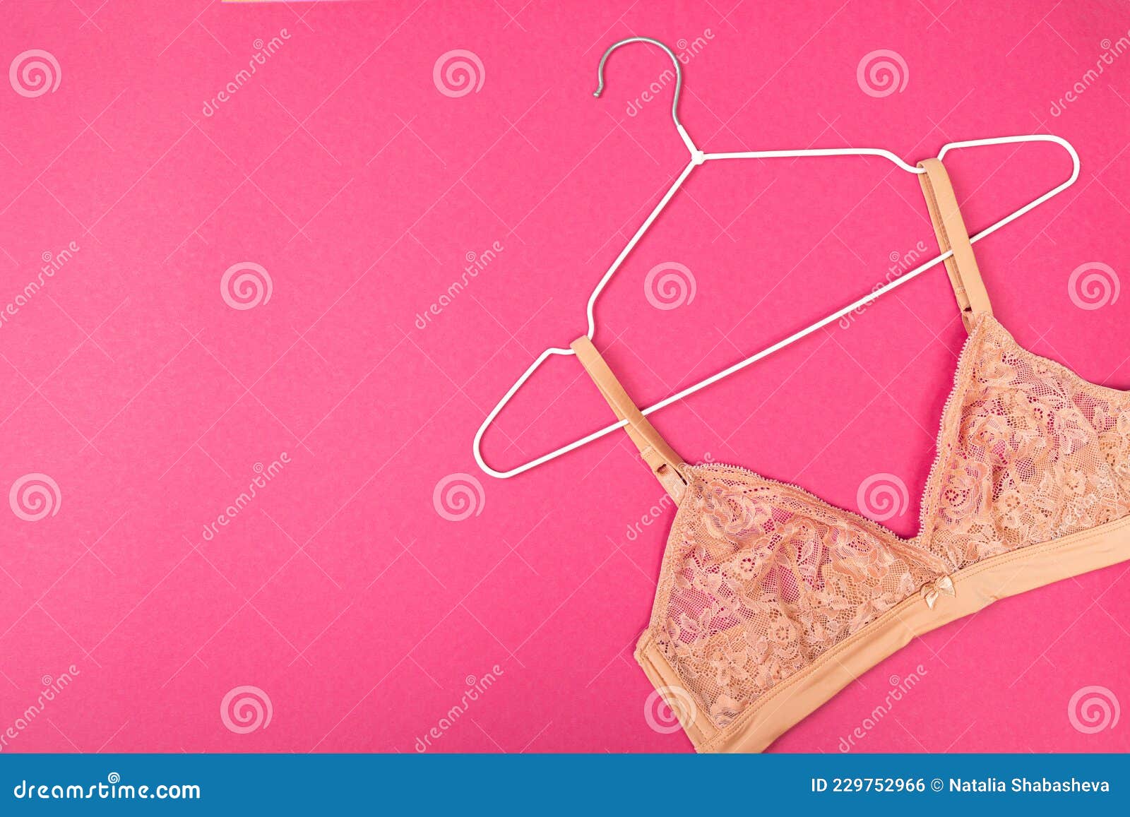 Beautiful Woman's Breasts Bra Stock Photos - Free & Royalty-Free