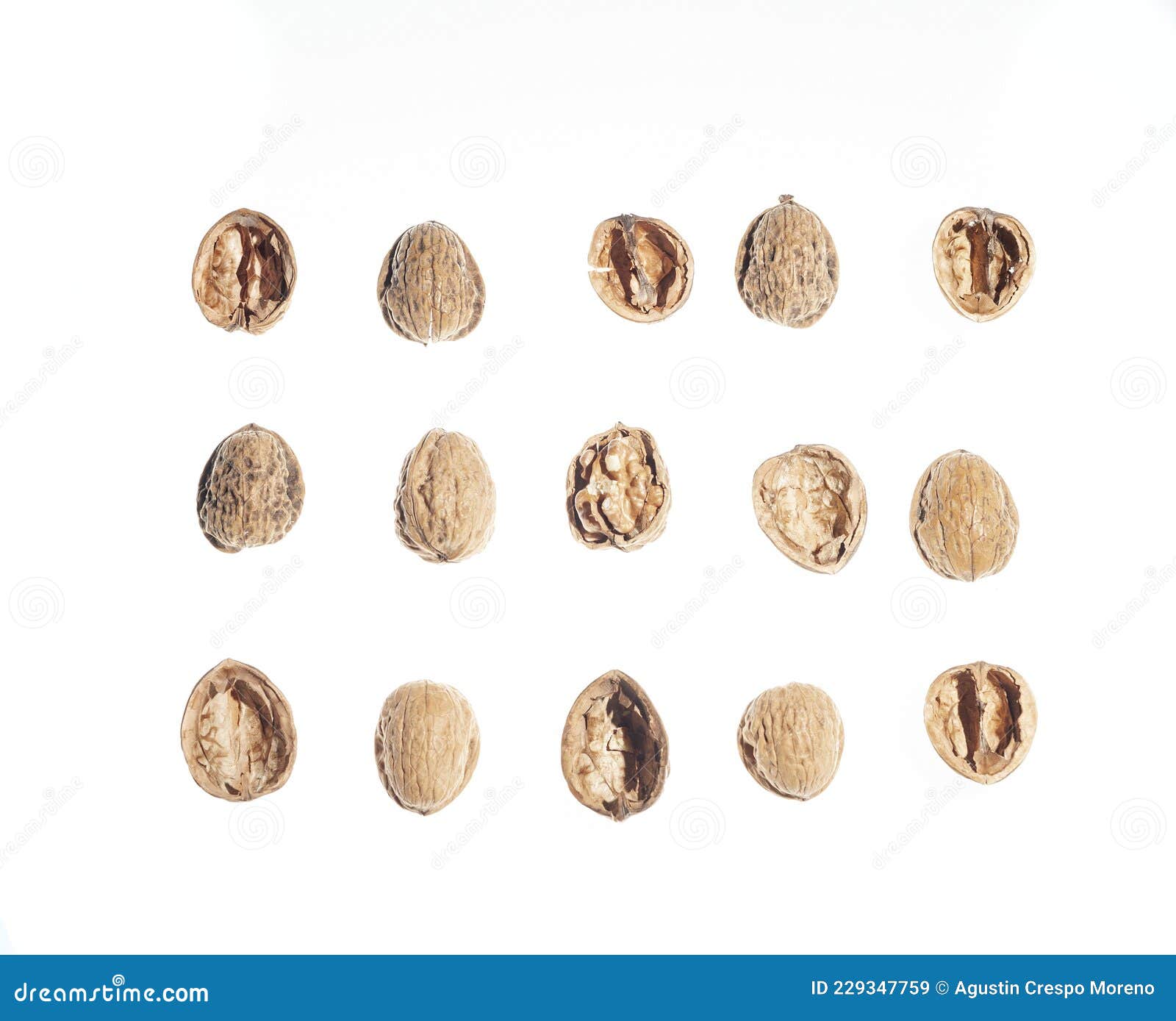 Top View of Three Rows and Five Columns of Walnuts or Parts of Walnut
