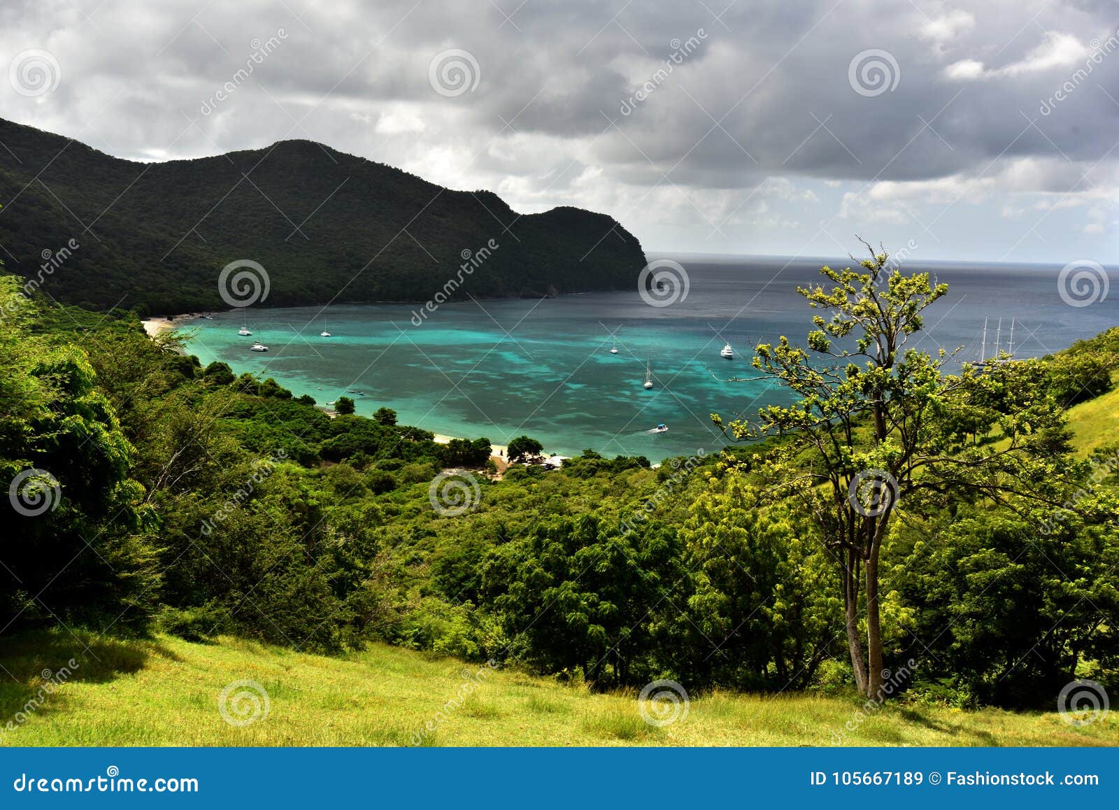 Top View from Tropical Island with Perfect Beach. Stock Image - Image ...