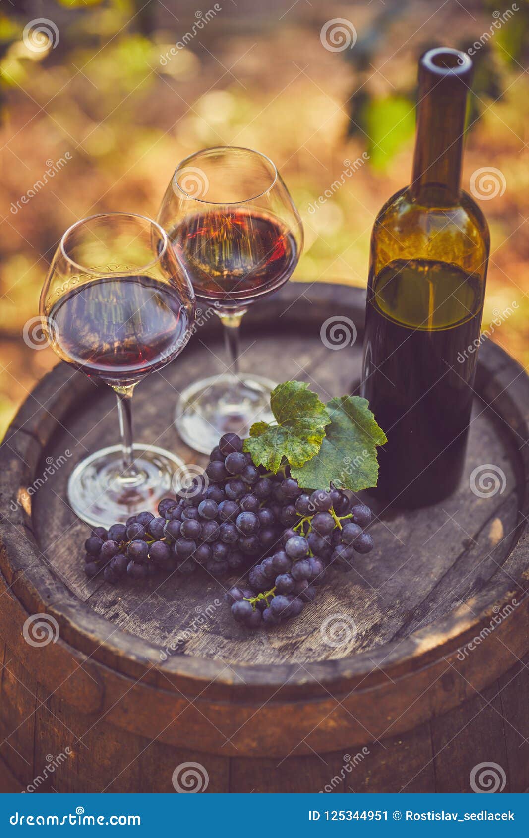 Top View of Two Glasses of Red Wine Stock Image - Image of brown, leaf ...