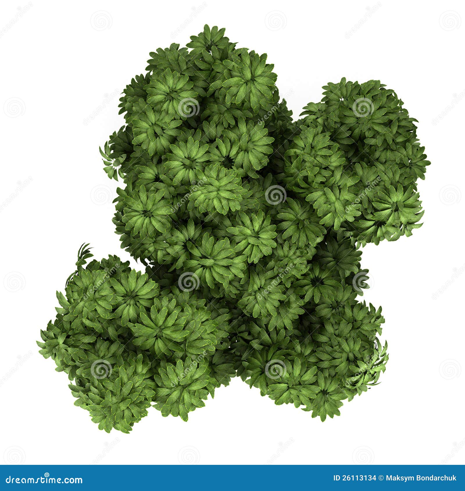 Umbrella Tree Stock Illustrations 20,299 Umbrella Tree Stock