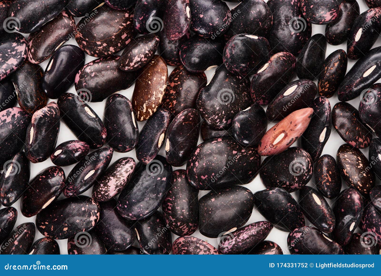 Top View of Uncooked Organic Black Beans. Stock Photo Image of