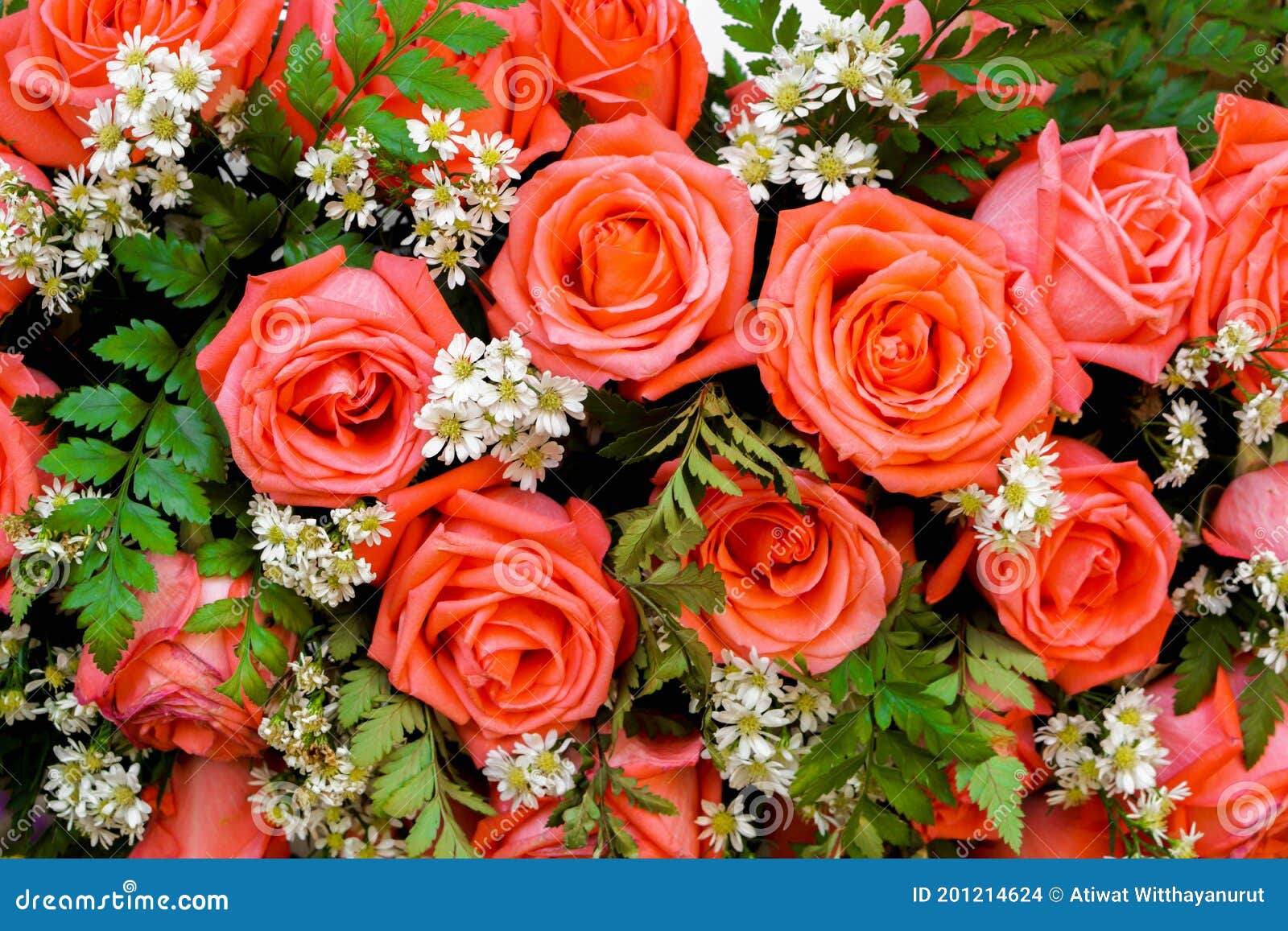 Top View of Wedding Pink Roses Flower Bouquet Stock Photo - Image of ...