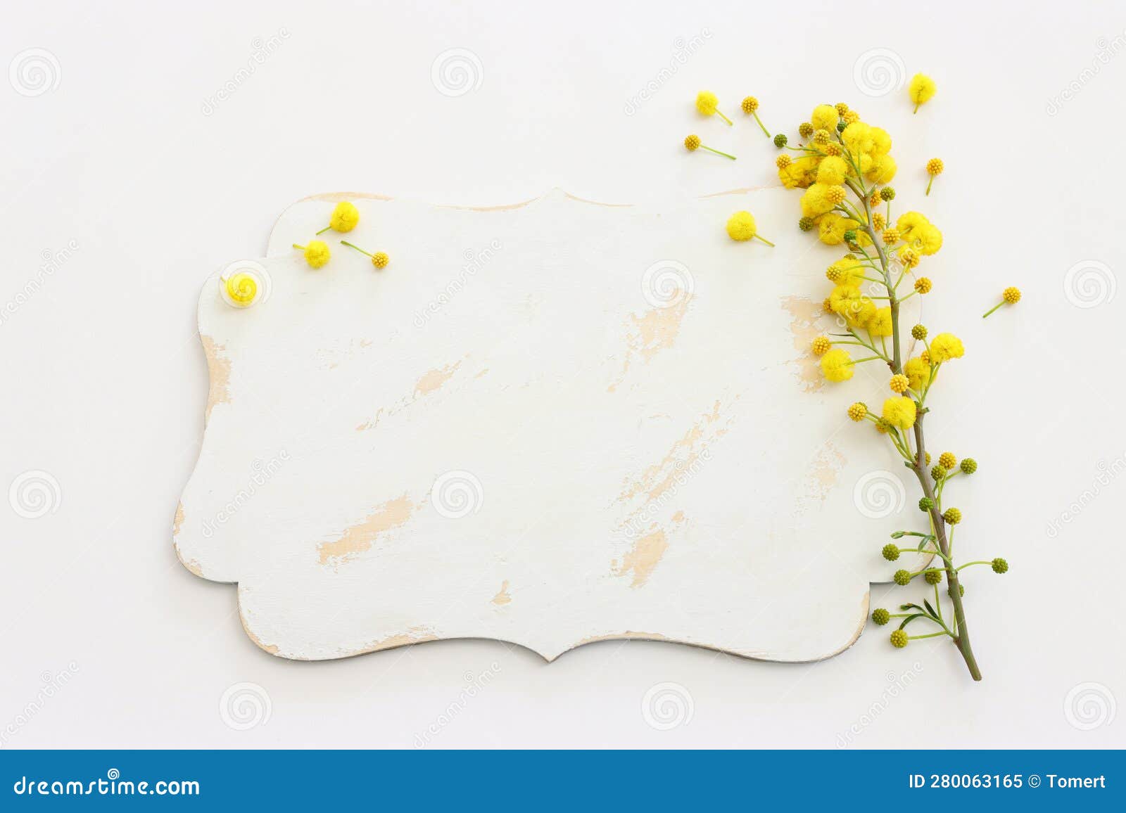 top view of yellow mimosa flowers and empty board over white background. for mock up, copy space