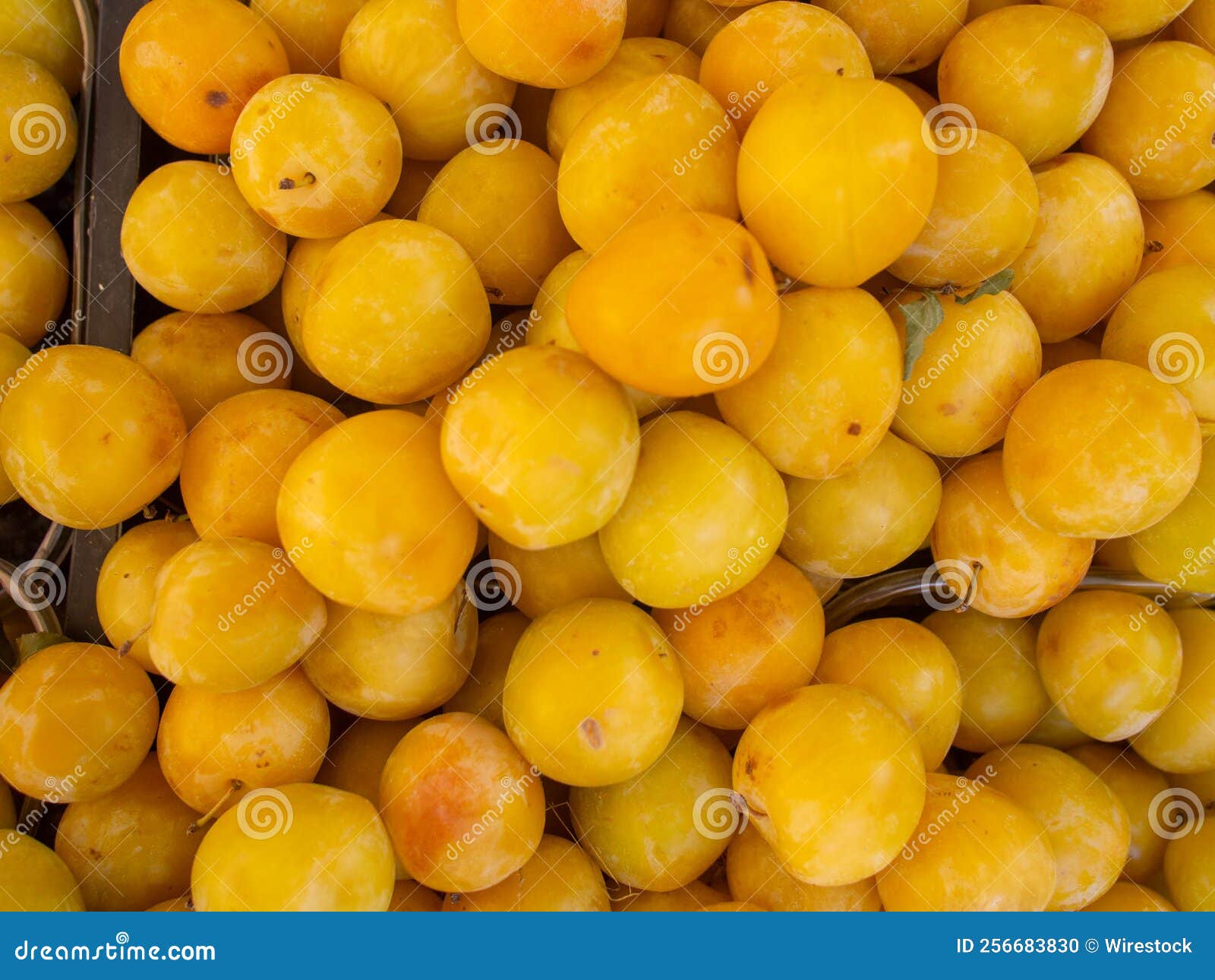 Top view of yellow plums stock photo. Image of small 256683830