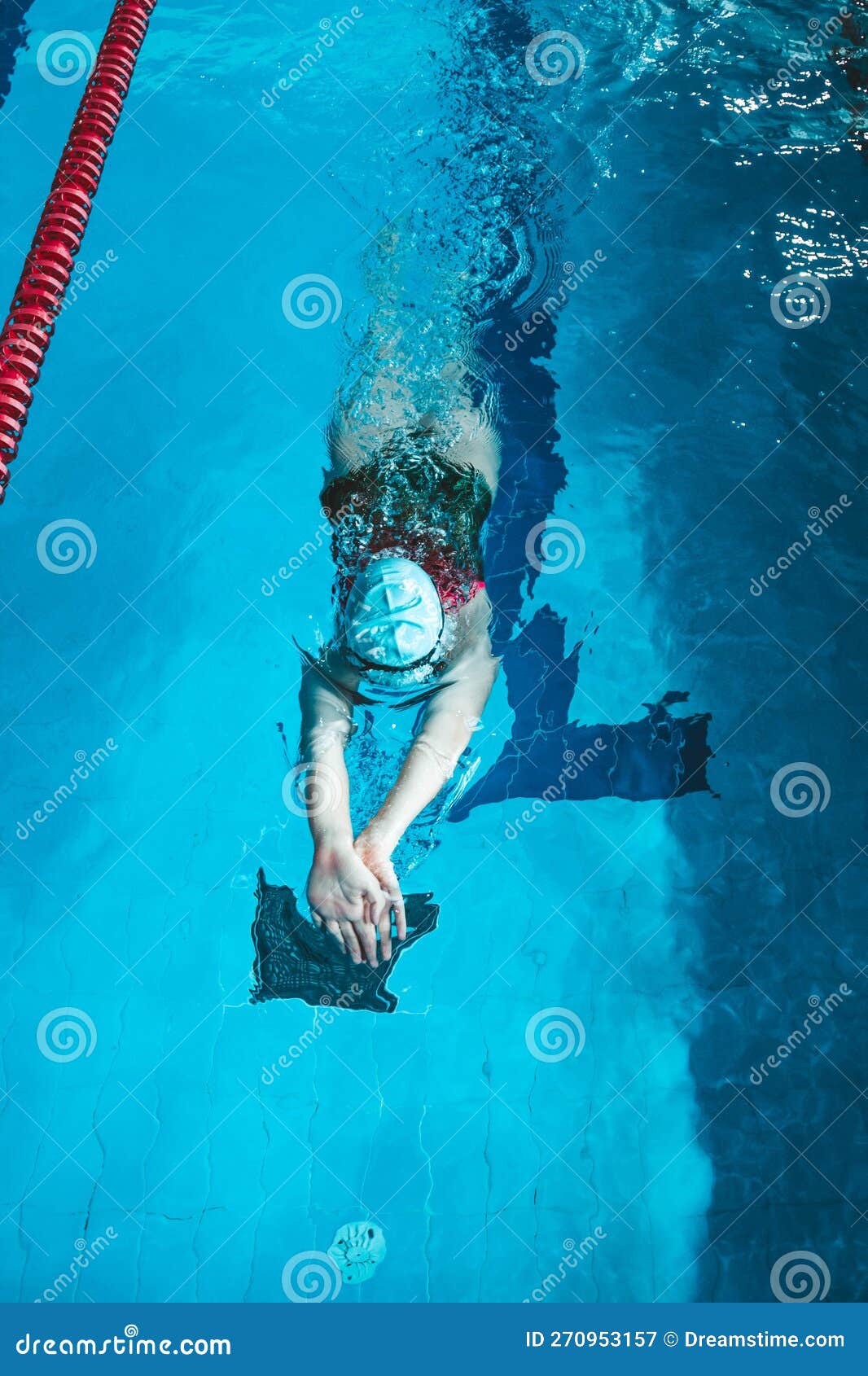 Pool Lane Floats Stock Photos - Free & Royalty-Free Stock Photos