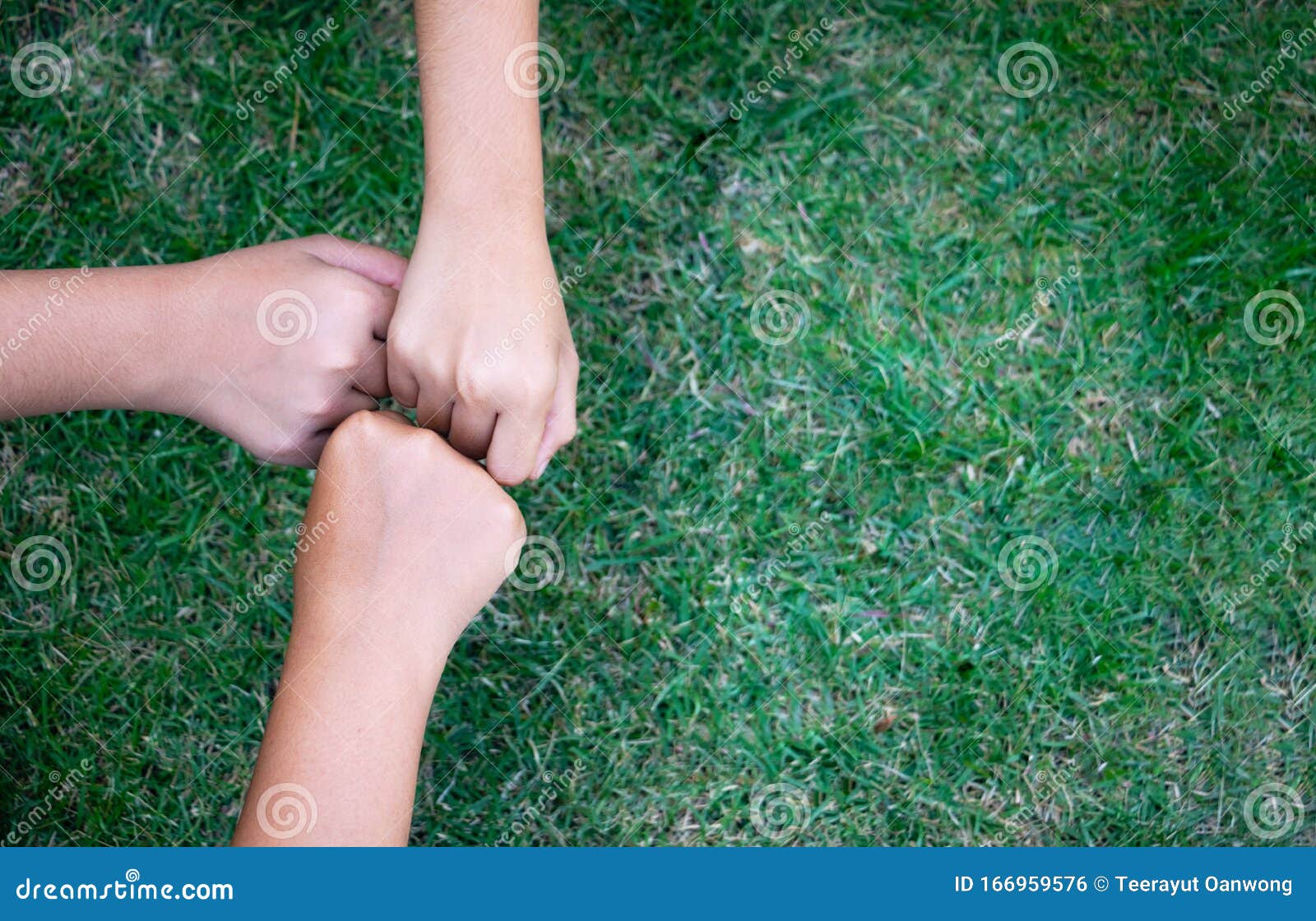 Top View Young Man Putting Their Hands Together on Grass.after Work ...