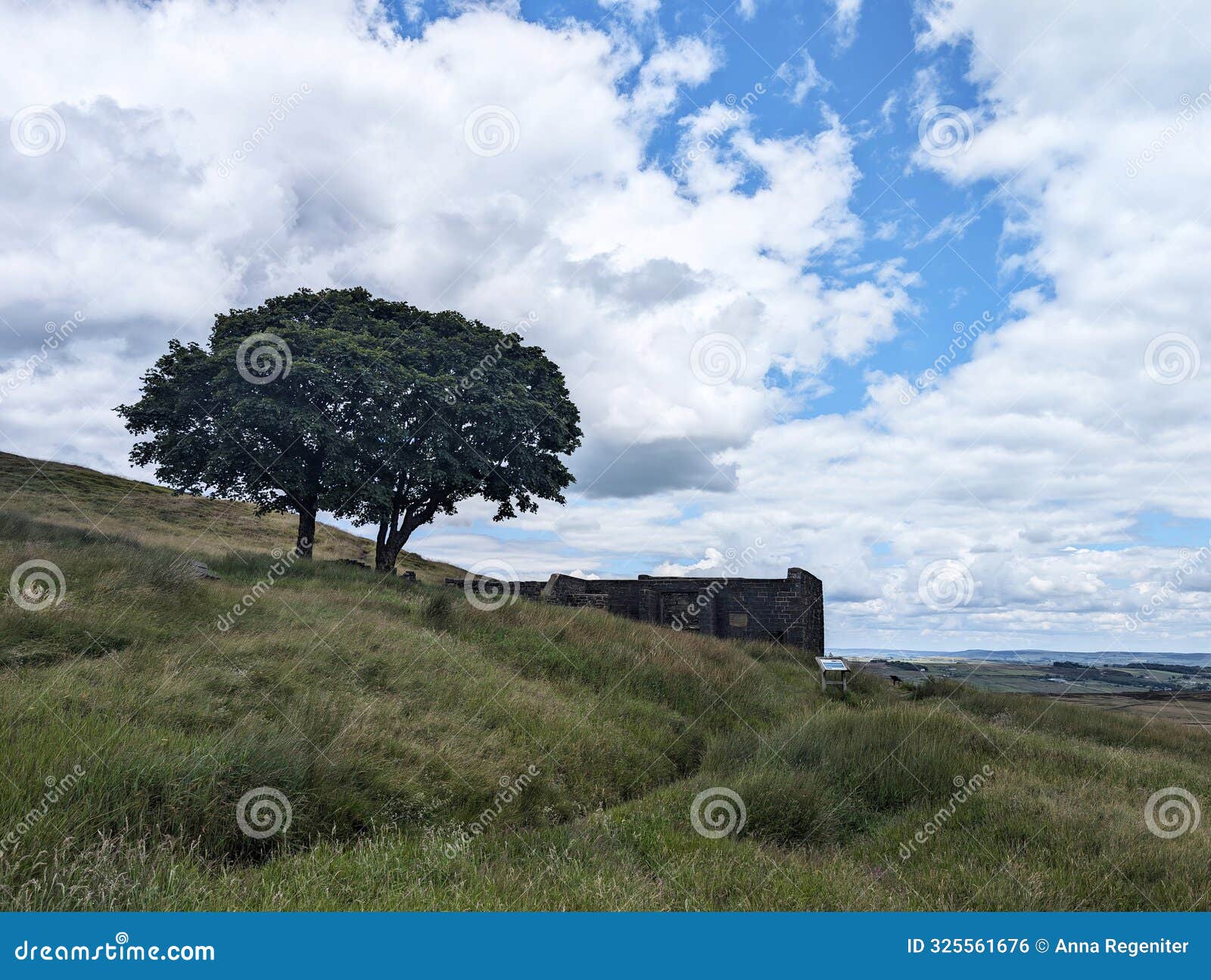 top withins in the moors above haworth in west yorkshire, northern england, where the famous bronte sisters liked to go for walks.