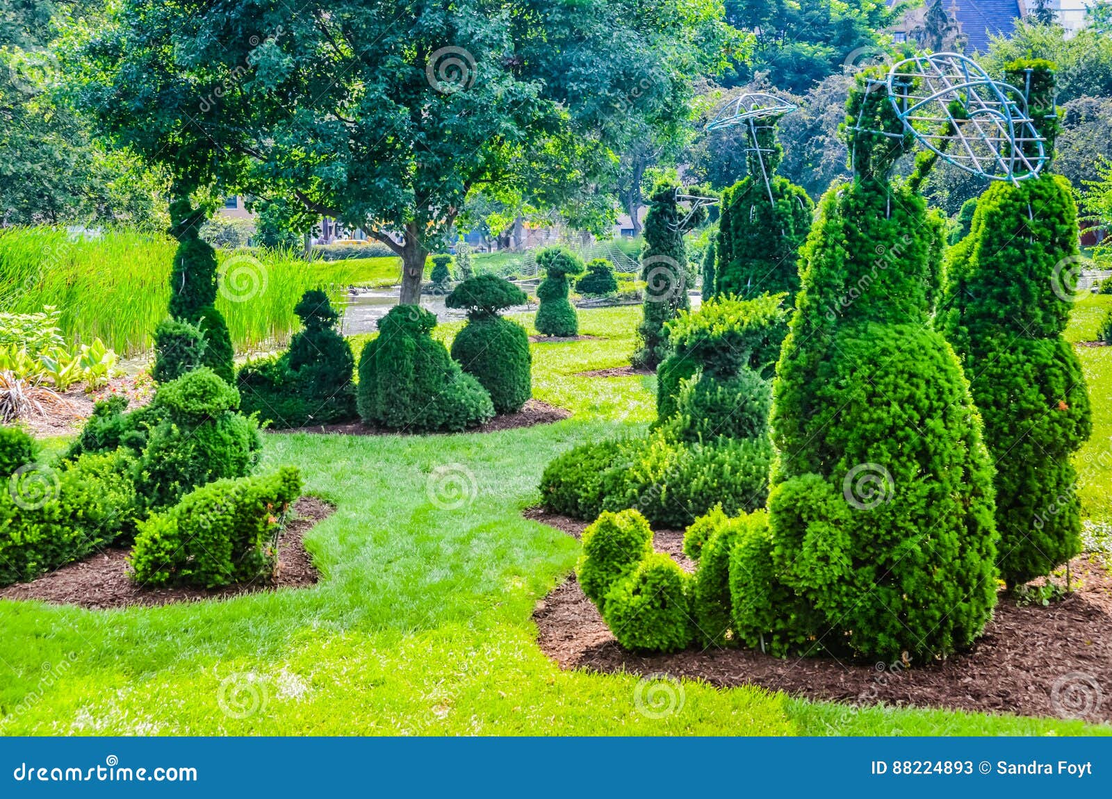 Topiaray Garten Columbus Ohio Stockbild Bild Von Gebusch