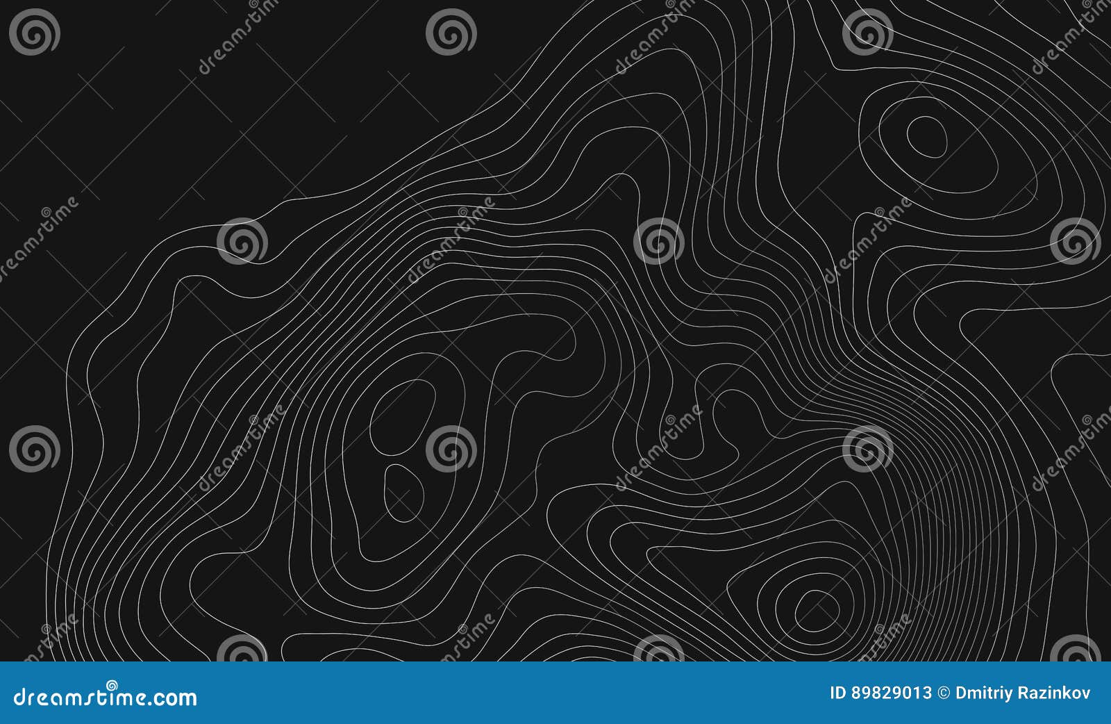Topographic Map Background with Space for Copy . Line Topography Map