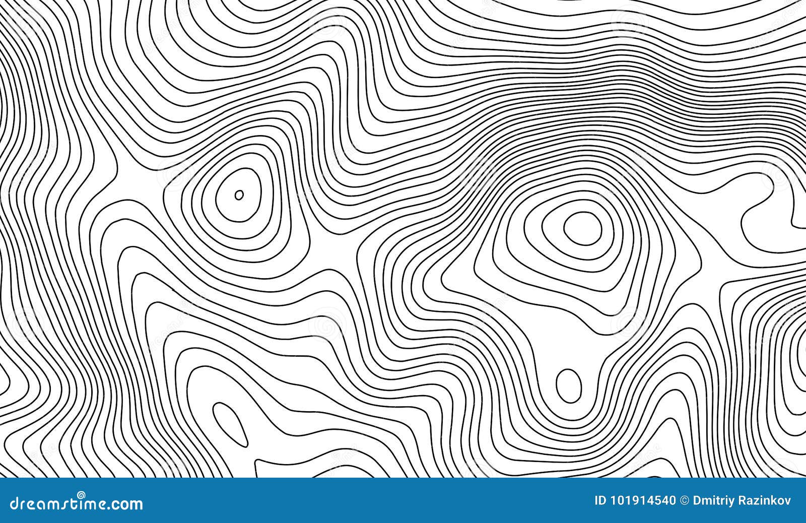 topographic map contour background. topo map with elevation.