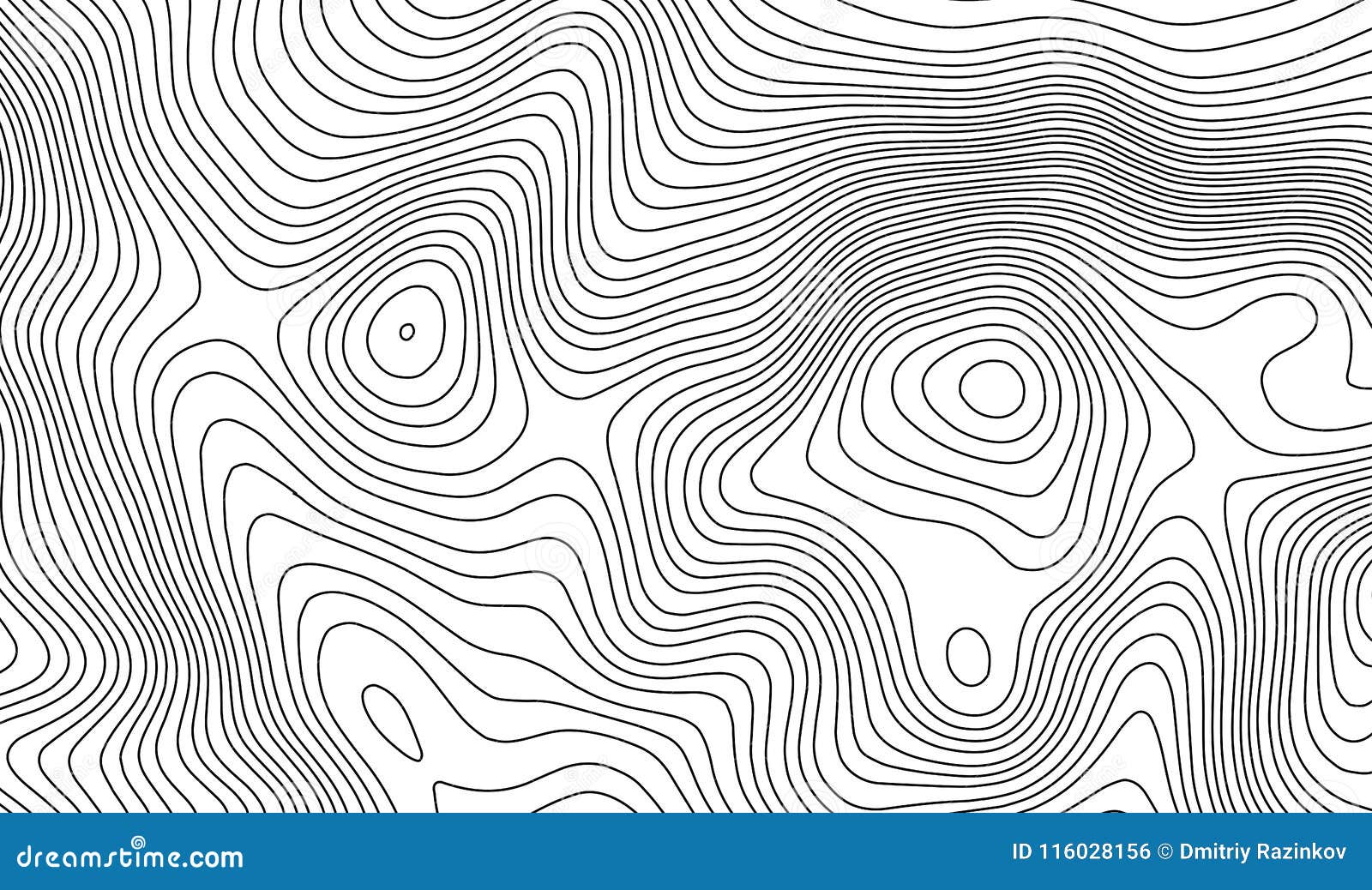 topographic map contour background. topo map with elevation. contour map . geographic world topography map grid