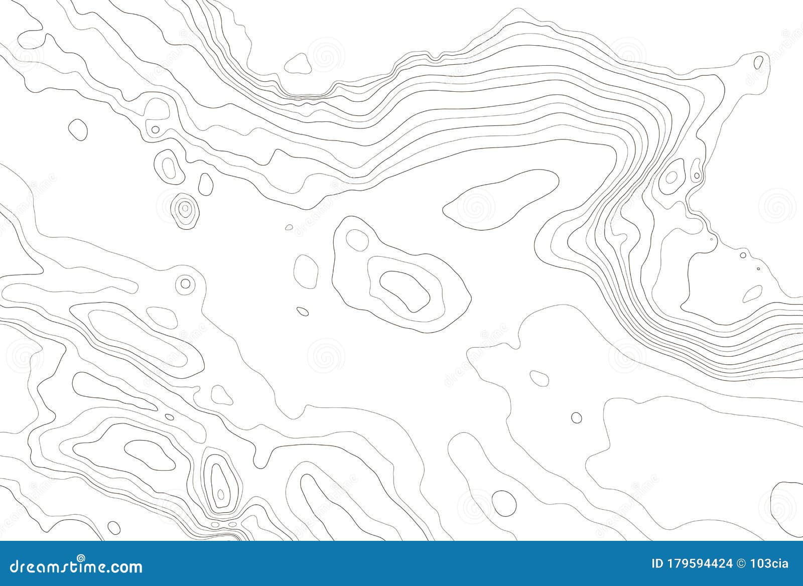 topographic map contour background. topography map elevation. contour map . geographic world topography map grid.