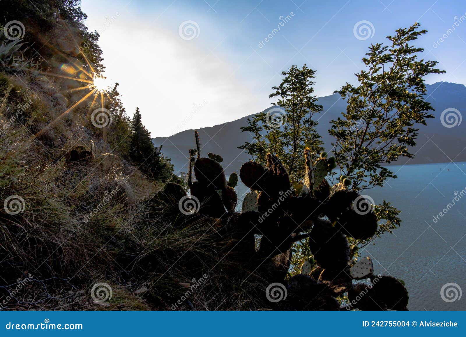 2021 09 12 torbole natural shadows