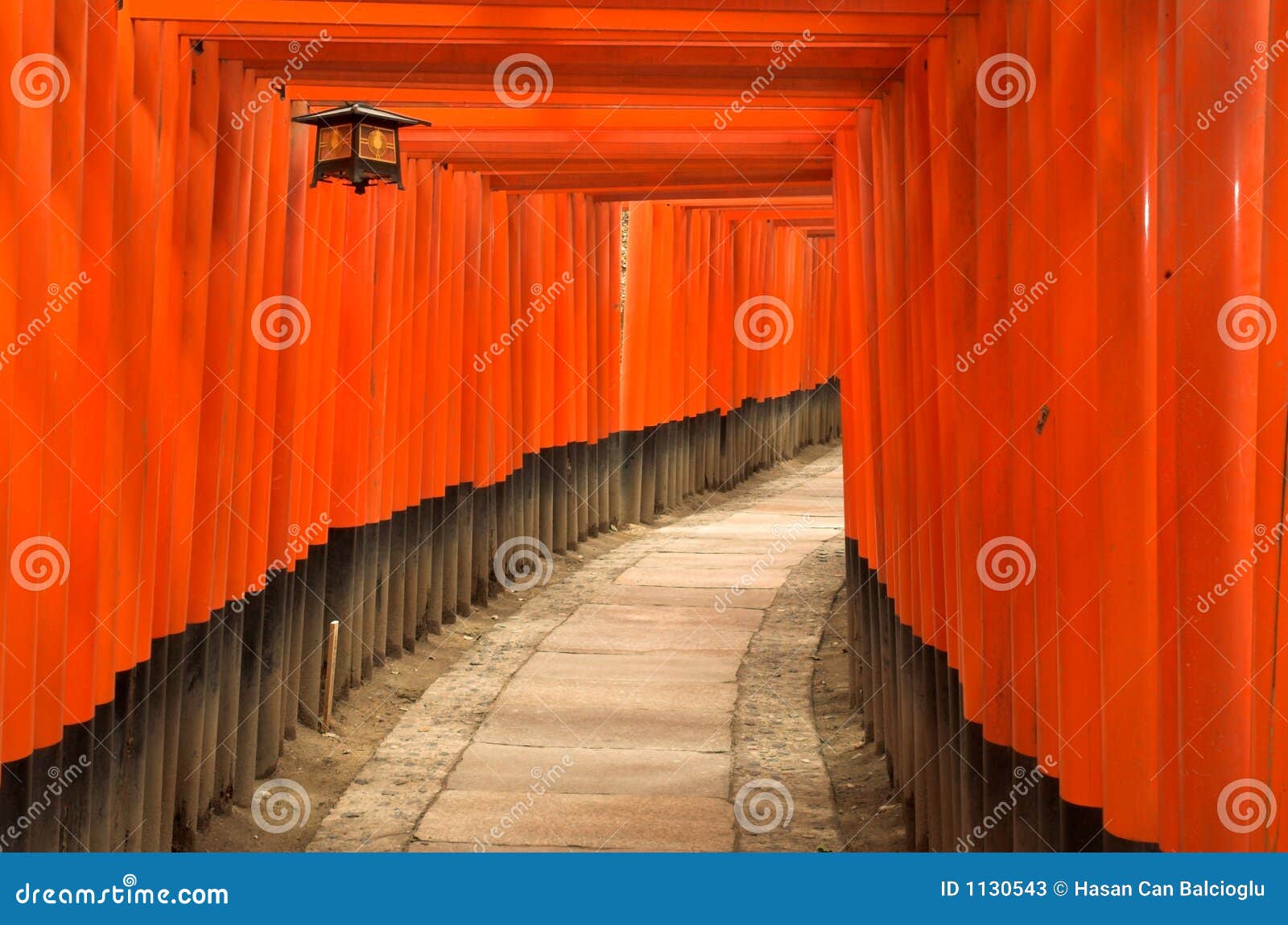 torii gates of fushimi inari shrine in kyoto, japan