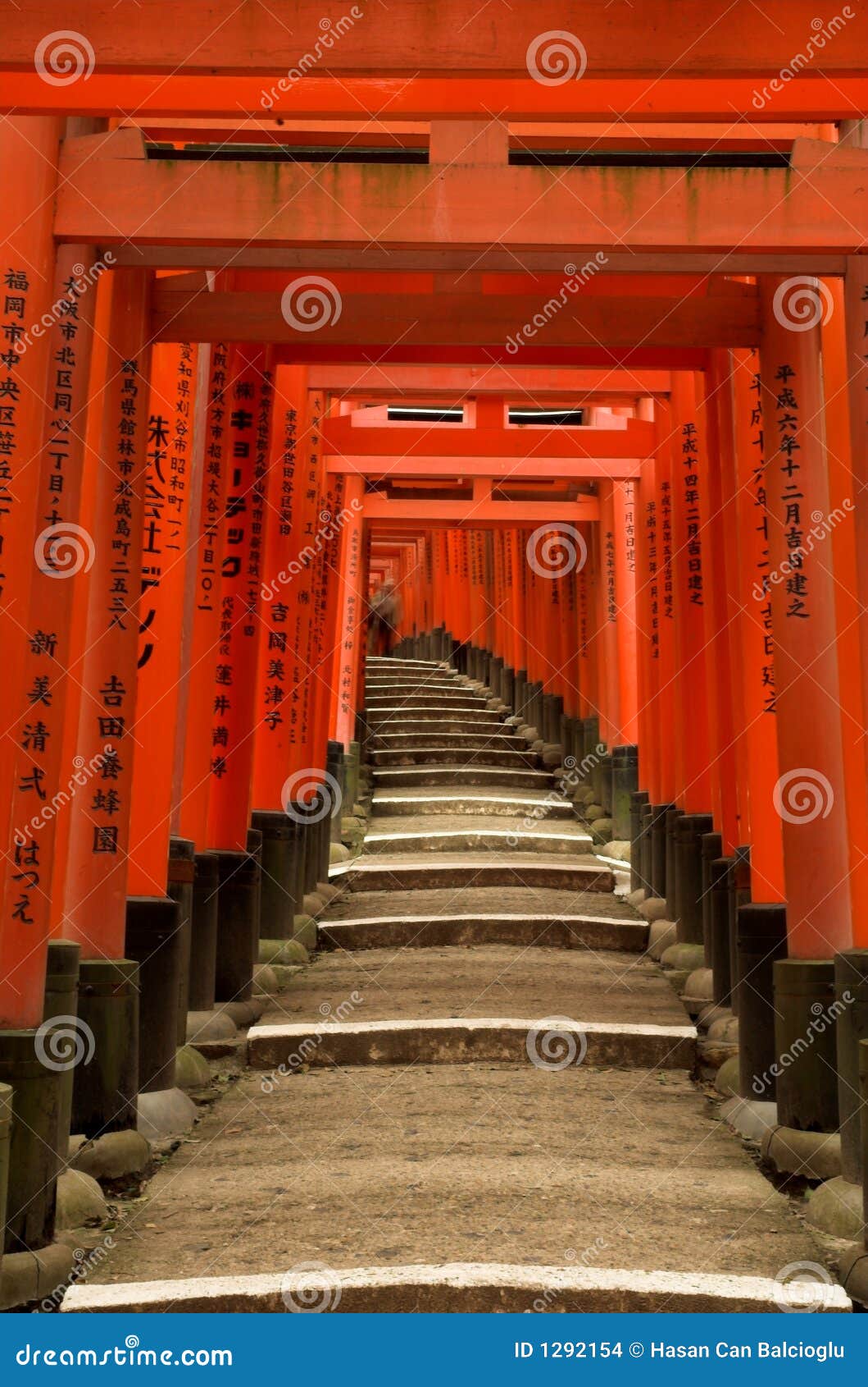 torii gates of fushimi inari shrine in kyoto, japan