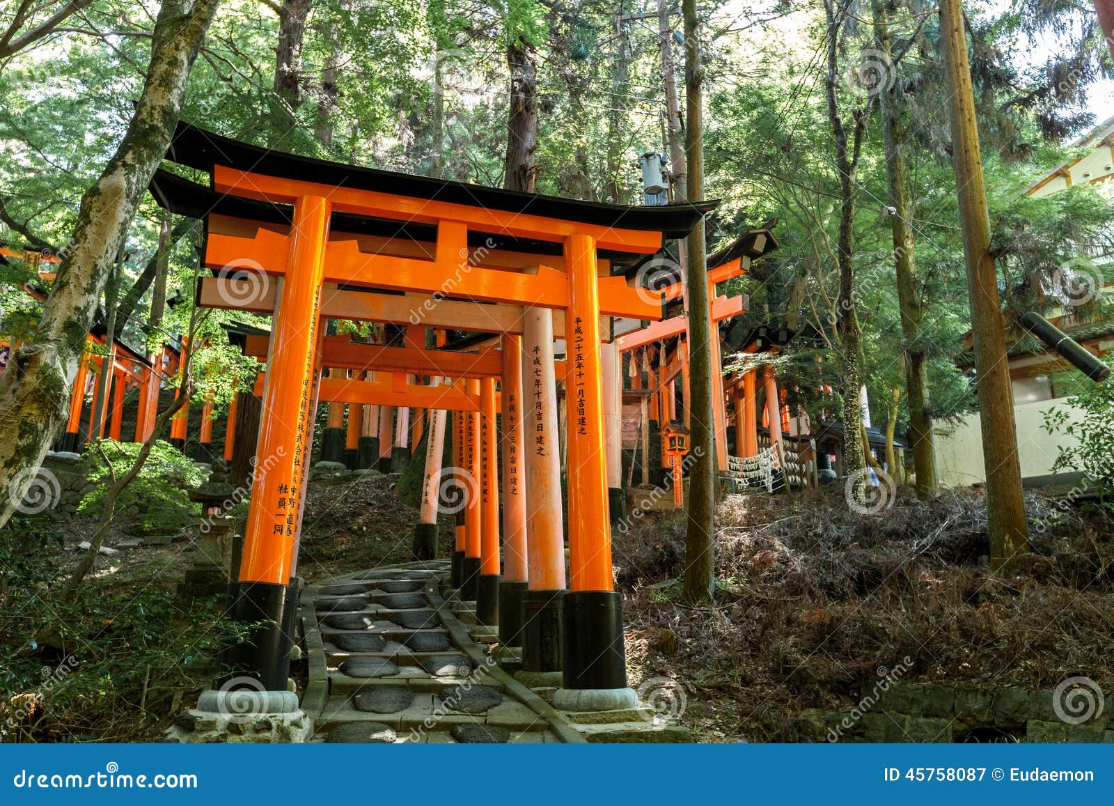 torii gates at fushimi inari shrine in kyoto, japan