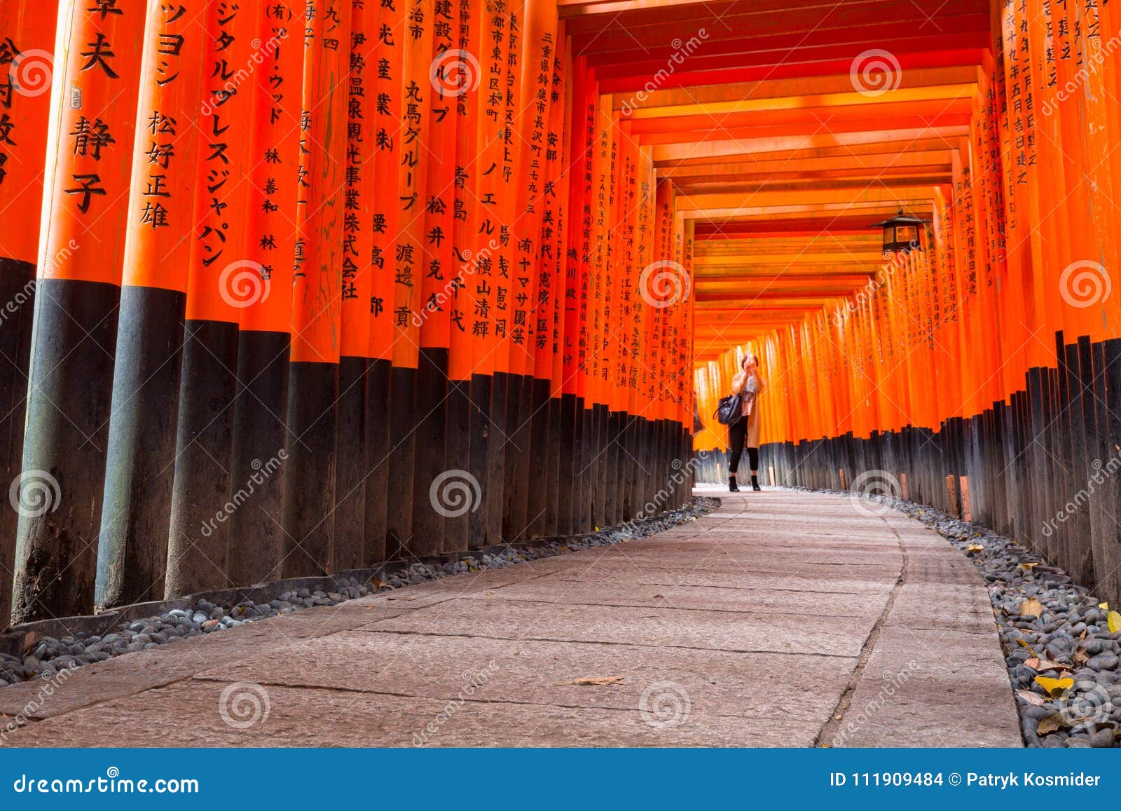 Torii Path Lined With Thousands Of Torii In The Fushimi Inari Taisha Shrine In Kyoto Editorial Stock Image Image Of Culture Japan