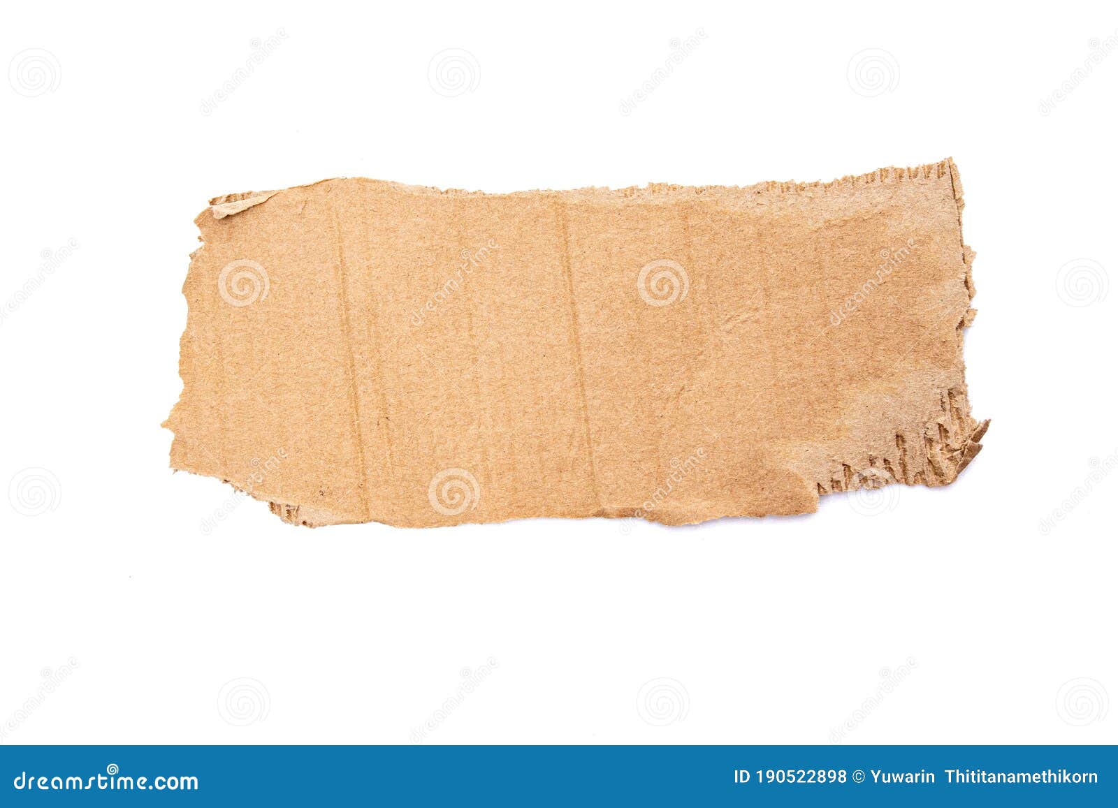 torn corrugated cardboard  on white background.