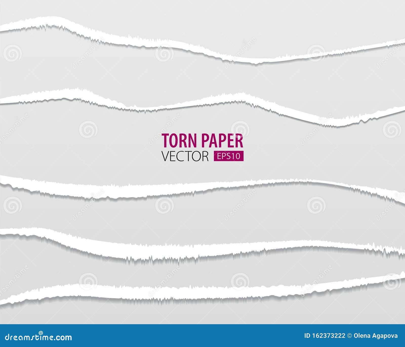 Torn Paper Holes. Hole in the Sheet of Paper on a Transparent Background for  and Print Stock