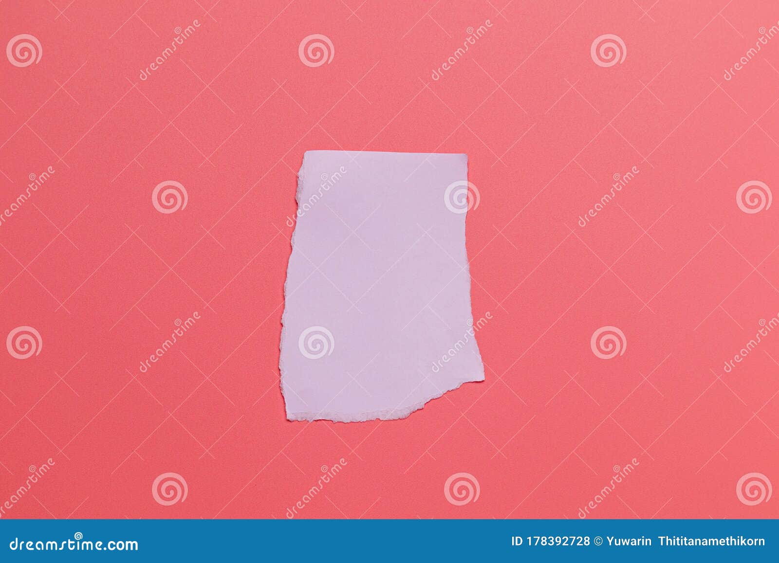 Torn Paper with Space for Text with Pink Background. Stock Photo