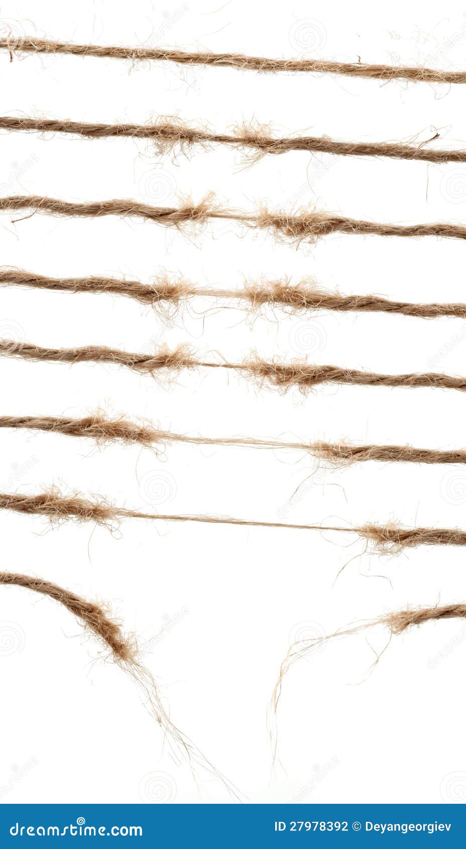 Torn rope stock photo. Image of separation, brown, risk 27978392