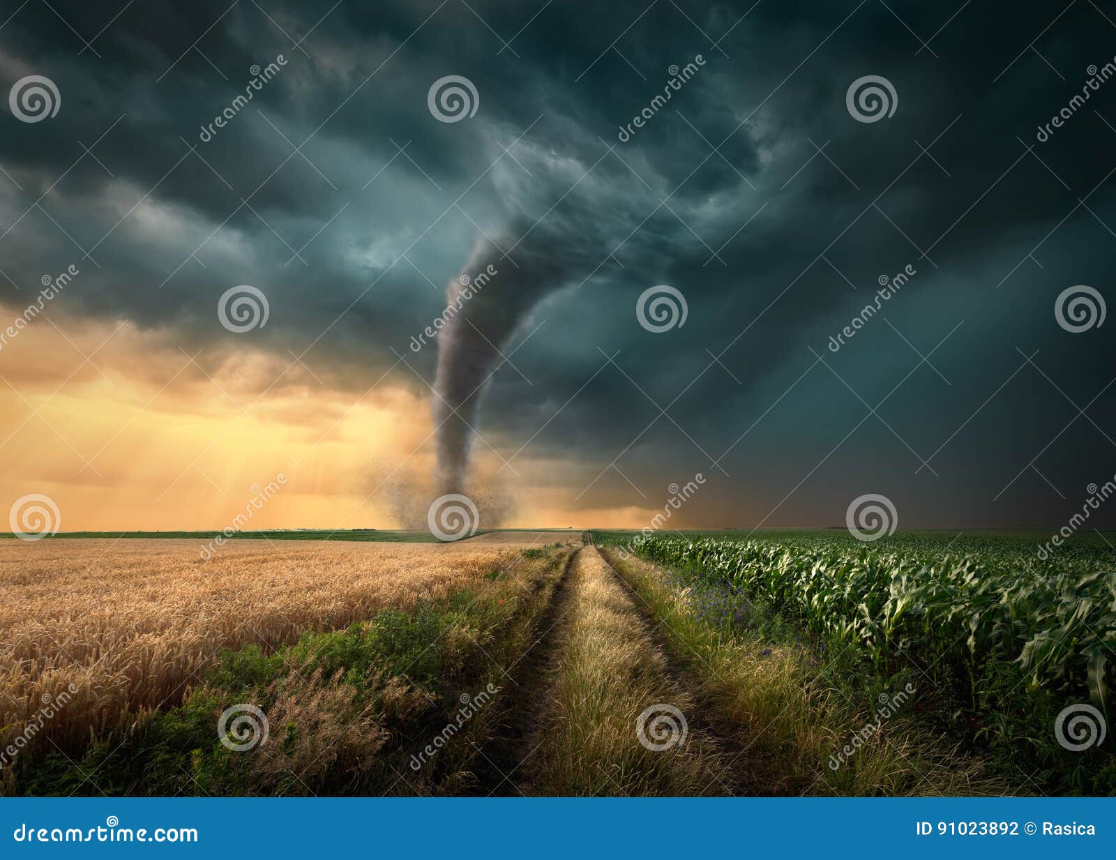 tornado struck on agricultural fields at sunset