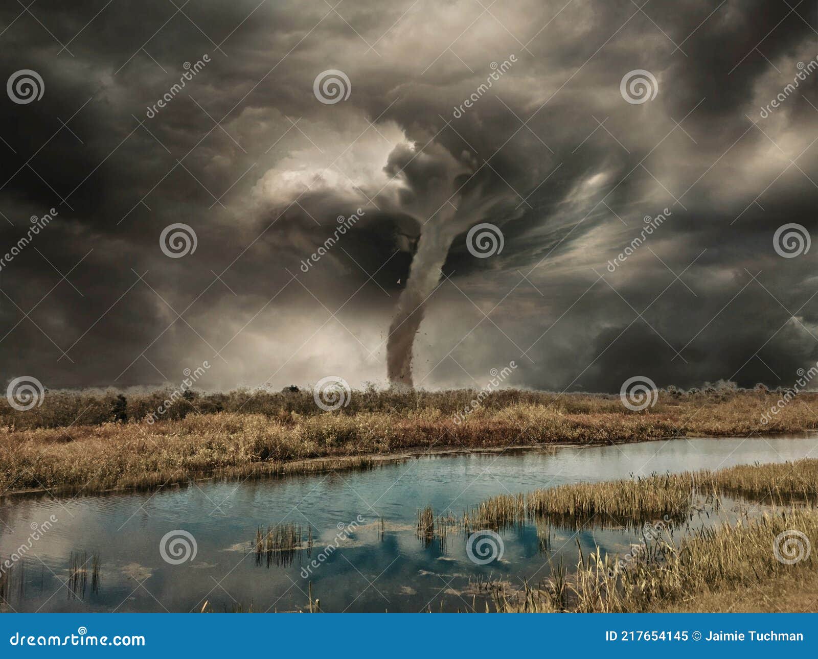 Tornado in a Swamp during Dangerous Climate Change Stock Image Image
