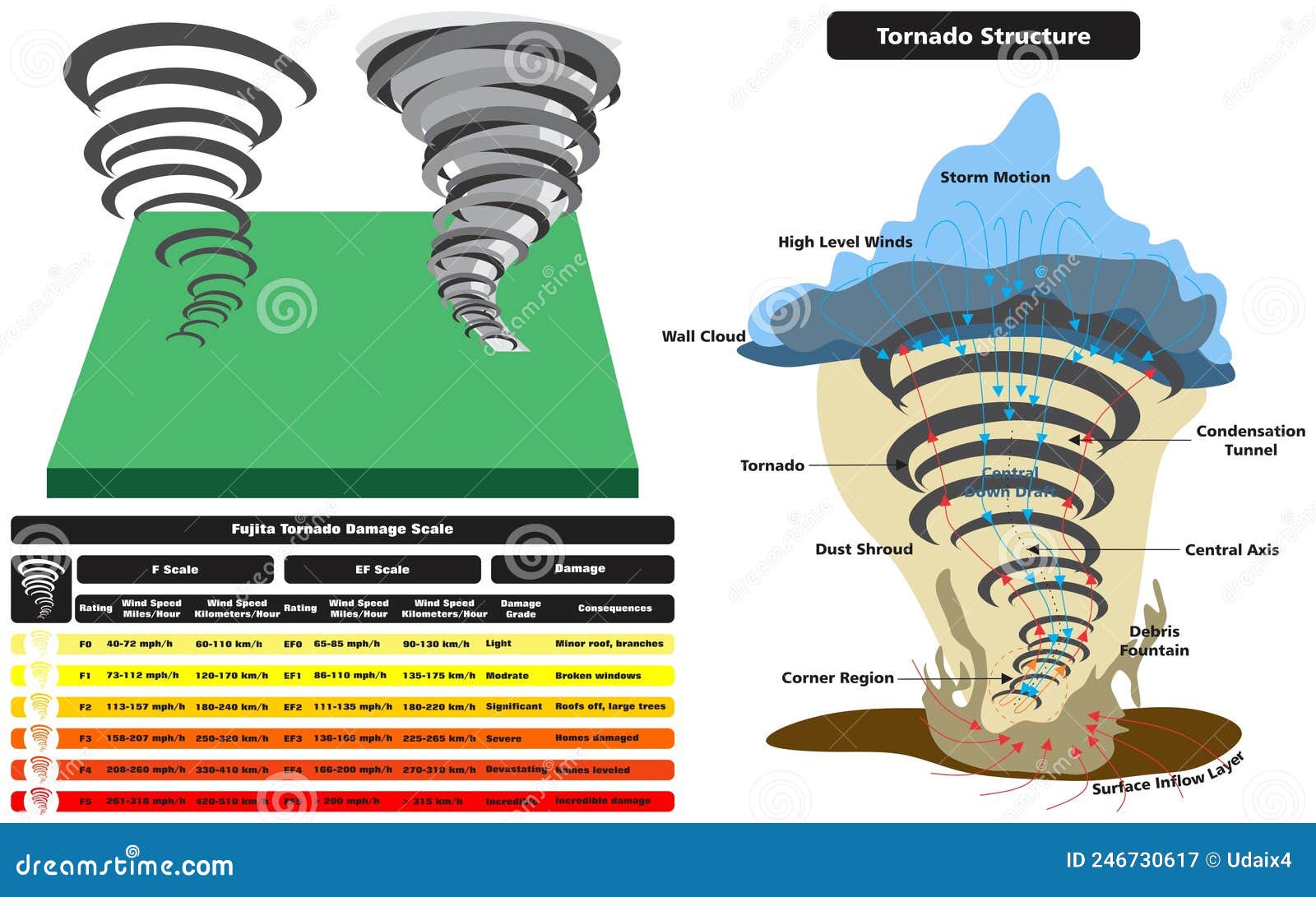 Tornado Vector Illustration. Labeled Educational Wind Vortex