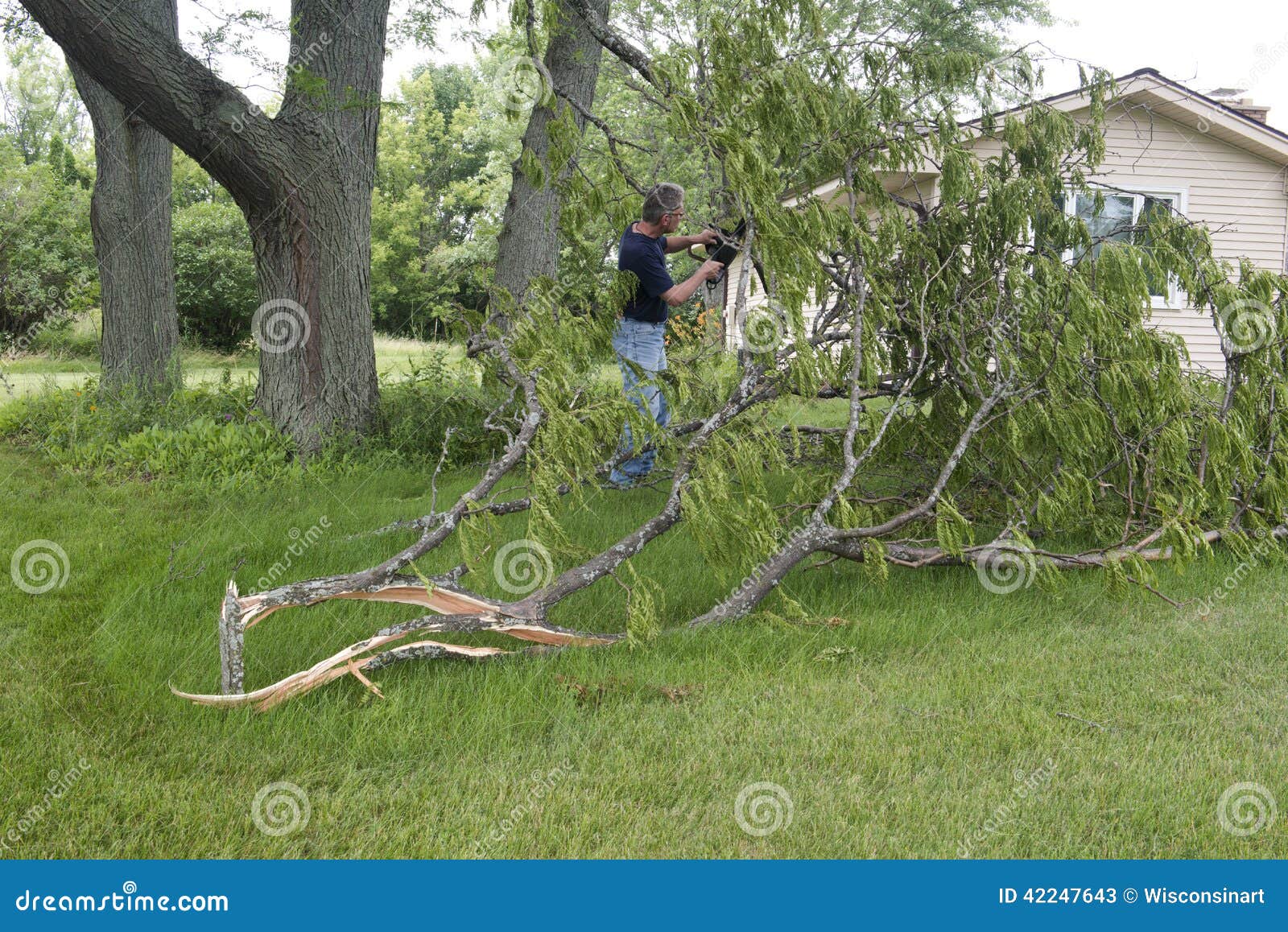 tornado wind storm damage man chainsaw downed tree