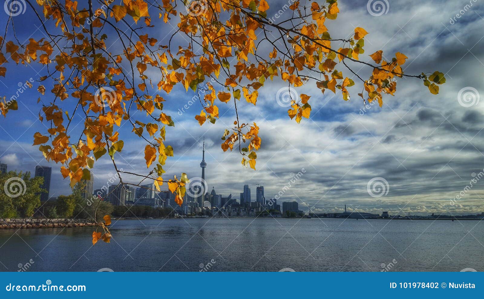 Toronto Autumn editorial photography. Image of toronto 101978402