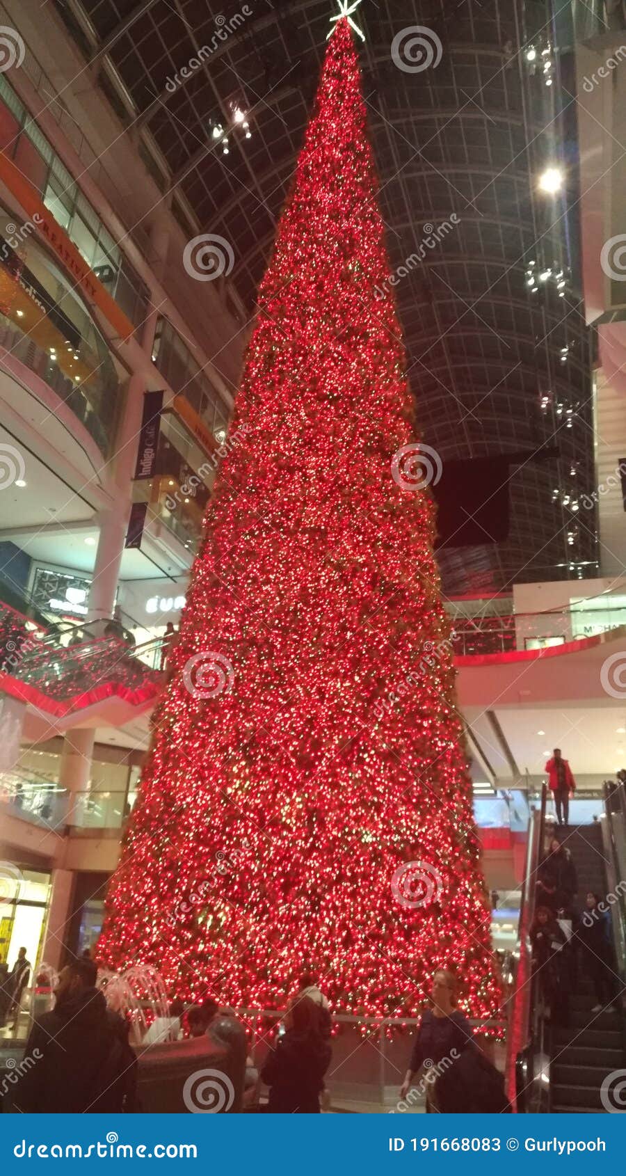 Toronto Canada Mall Christmas Tree Editorial Stock Photo Image of
