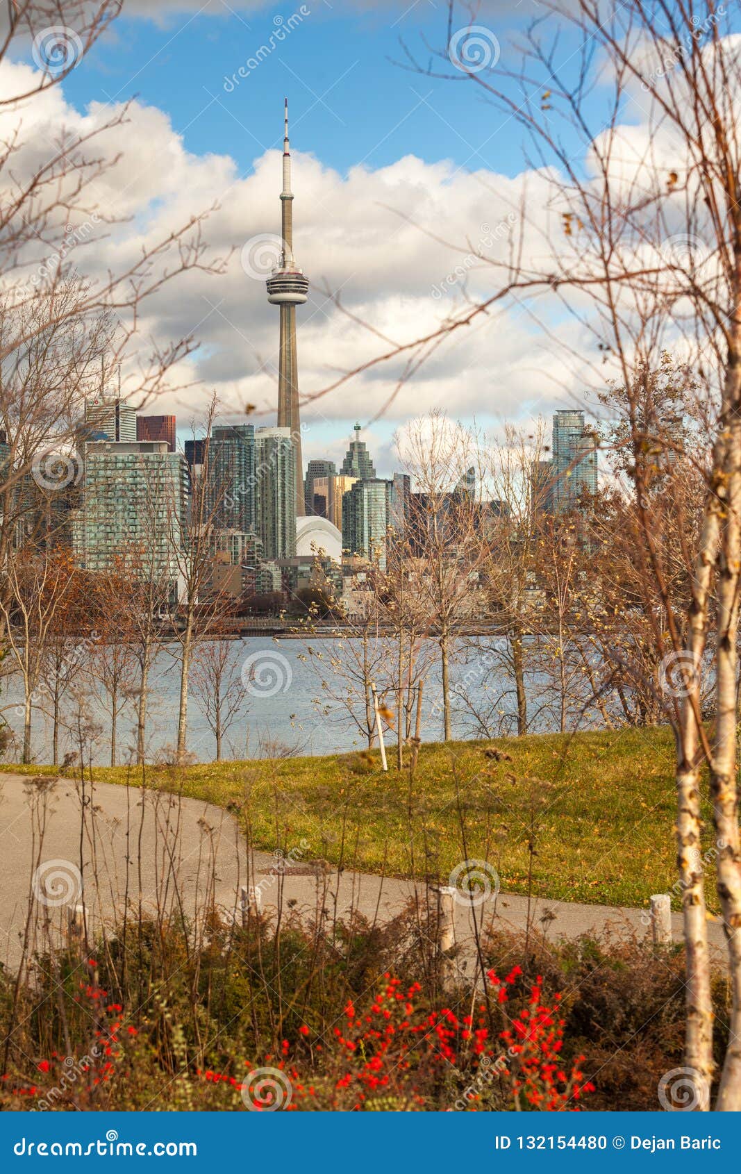 Toronto Canada November 20 2018 Panoramic View Of The City Stock