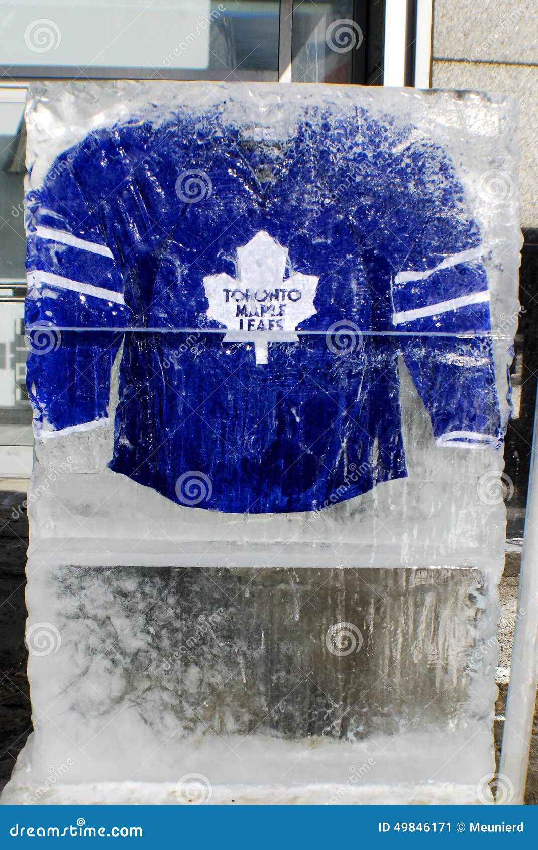 toronto maple leafs trikot