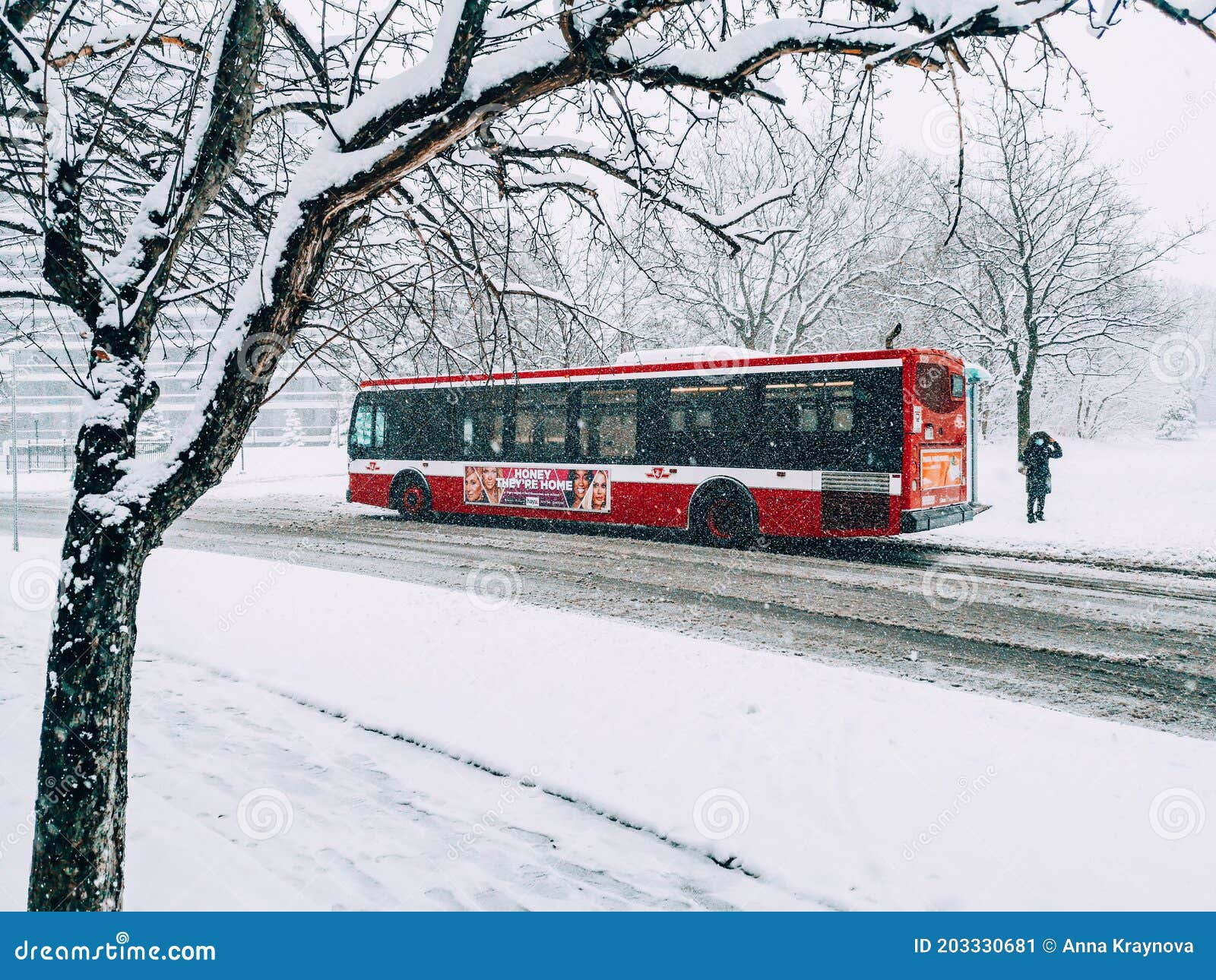 Estreia De Outono De Neve 5 Imagem de Stock Editorial - Imagem de