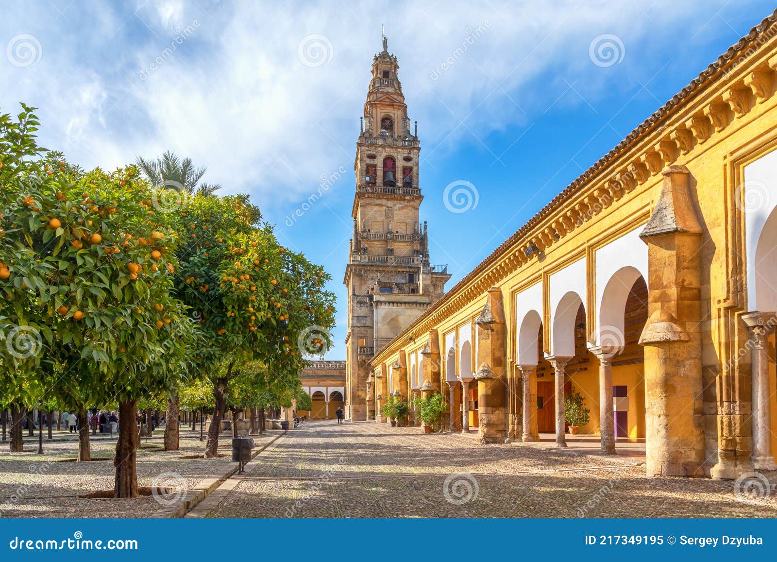 torre campanario and courtyard planted with orange trees in cordoba