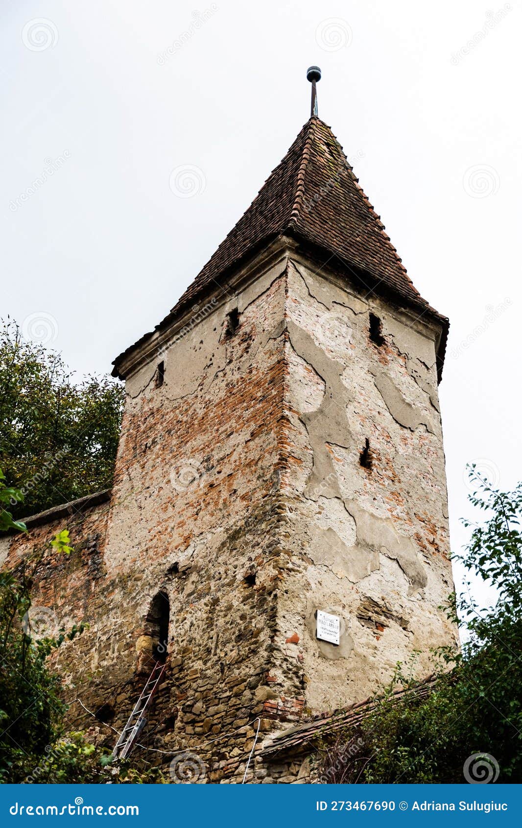 O Forte de Nove Torres (Em Portugues do Brasil)