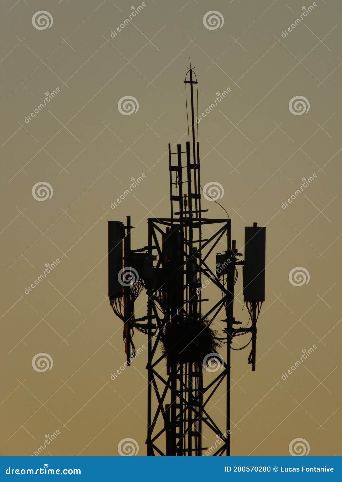 torre de telefonia com um ninho de pÃÂ¡ssaro