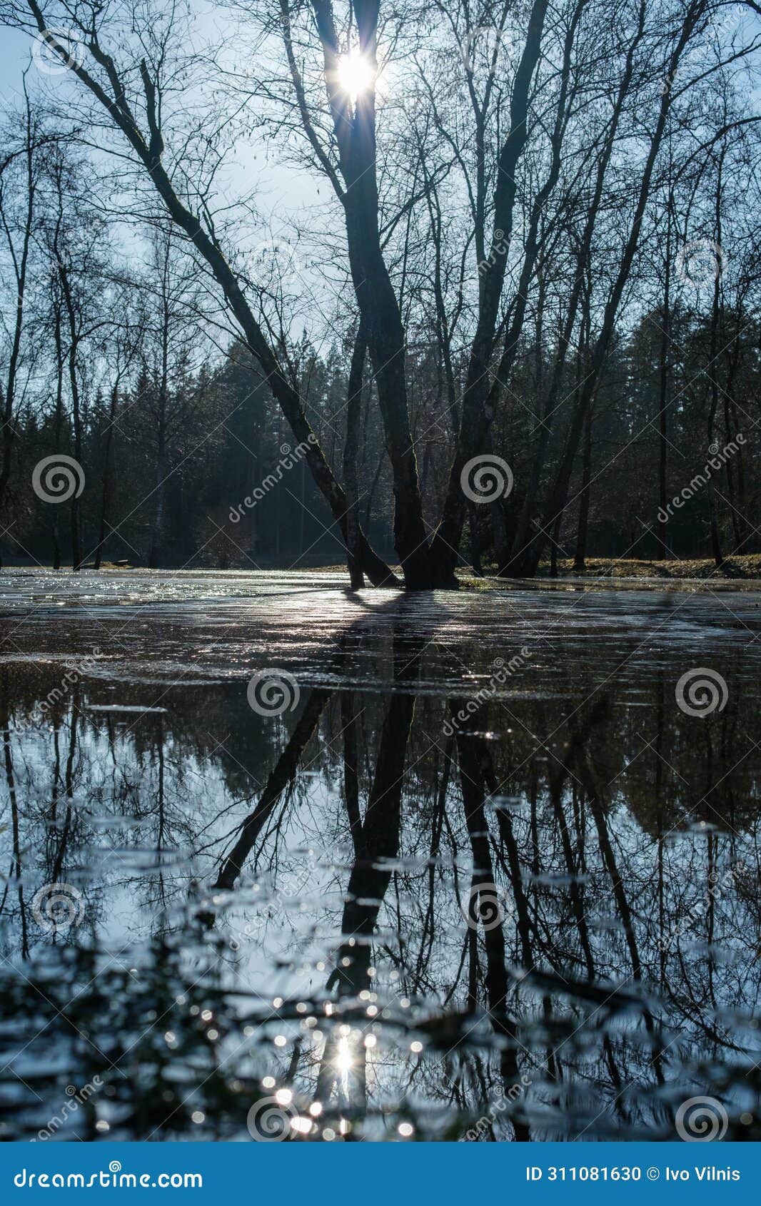 torrential chaos: gauja's overflow submerges camping area in cesis