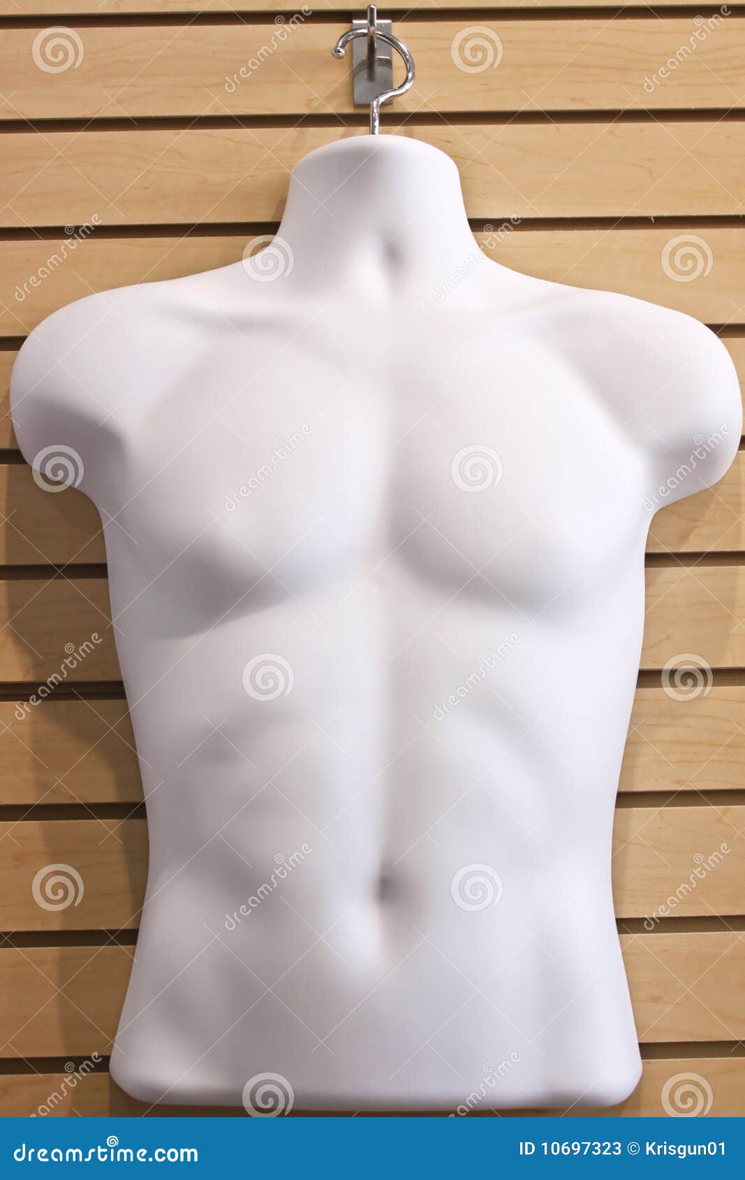 torso display